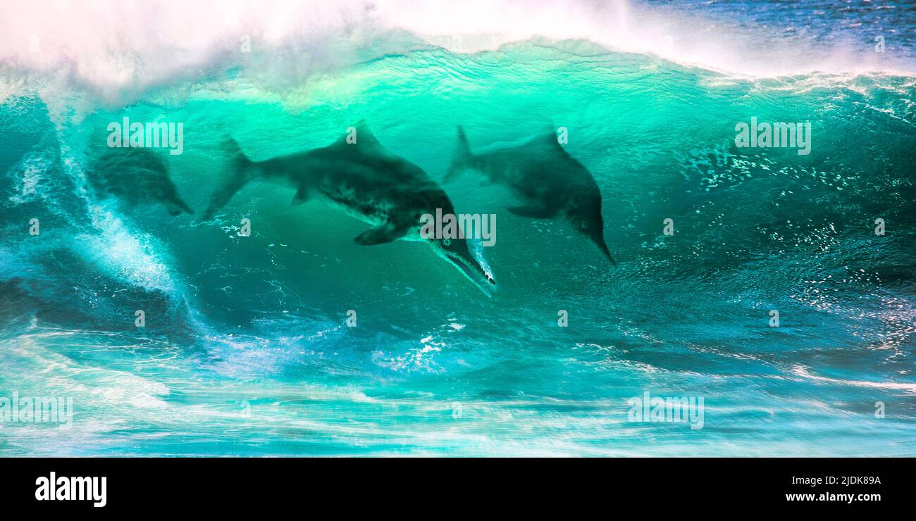 Ophthalmosaurus marine reptiles swimming, illustration Stock Photo - Alamy