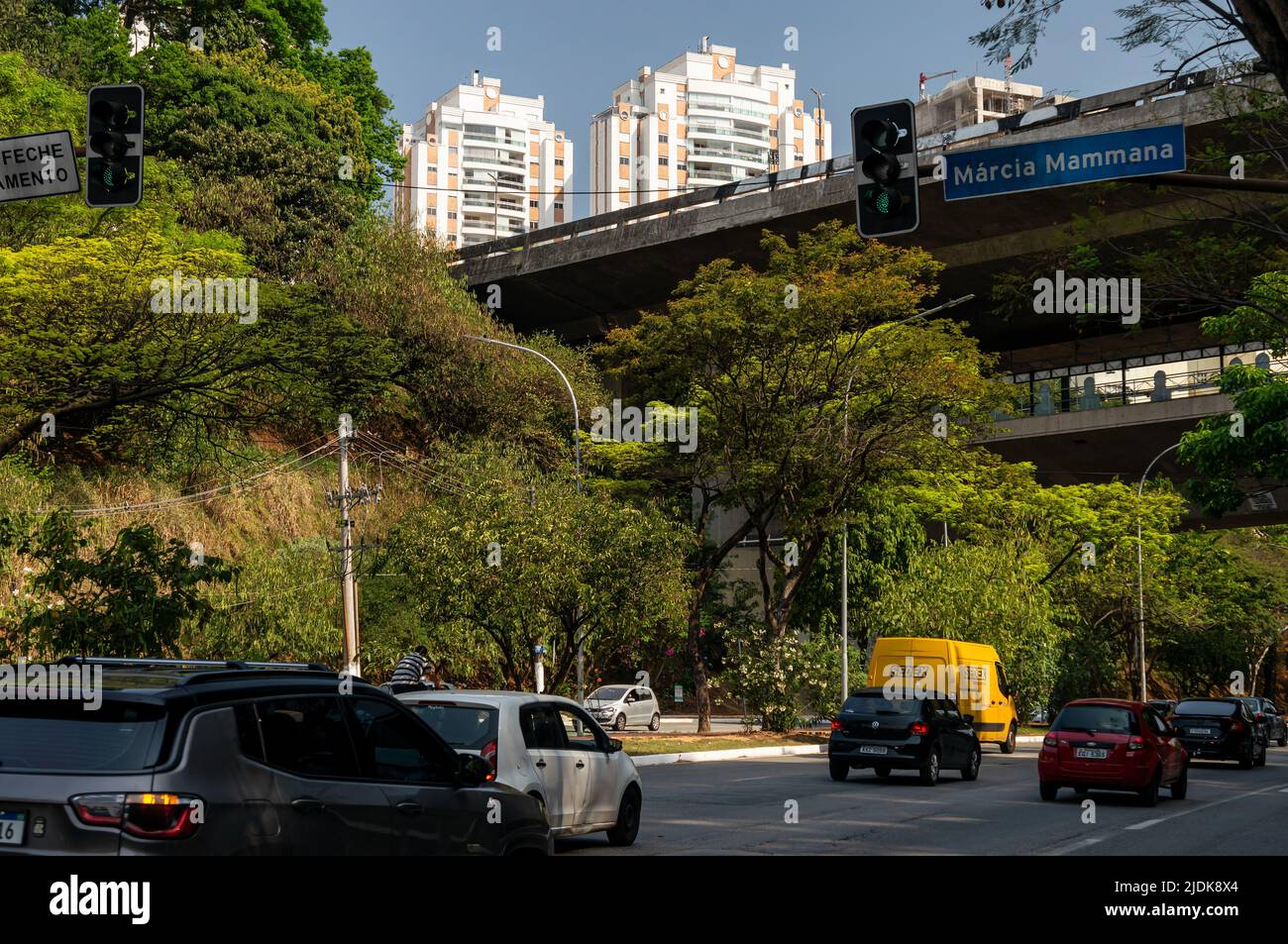 Big trees full of green foliage on the median strip of Paulo VI avenue, right at Capitao Adalberto Mendes viaduct and Sumare Metro station. Stock Photo