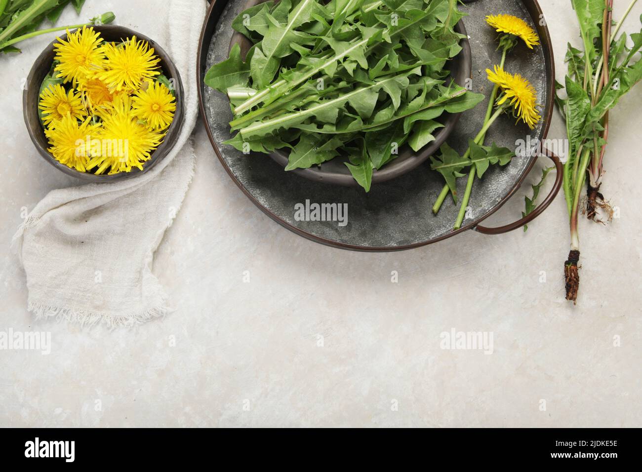 Fresh dandelion on light background. Edible plant and nectariferous. Flat lay, top view, copy space Stock Photo
