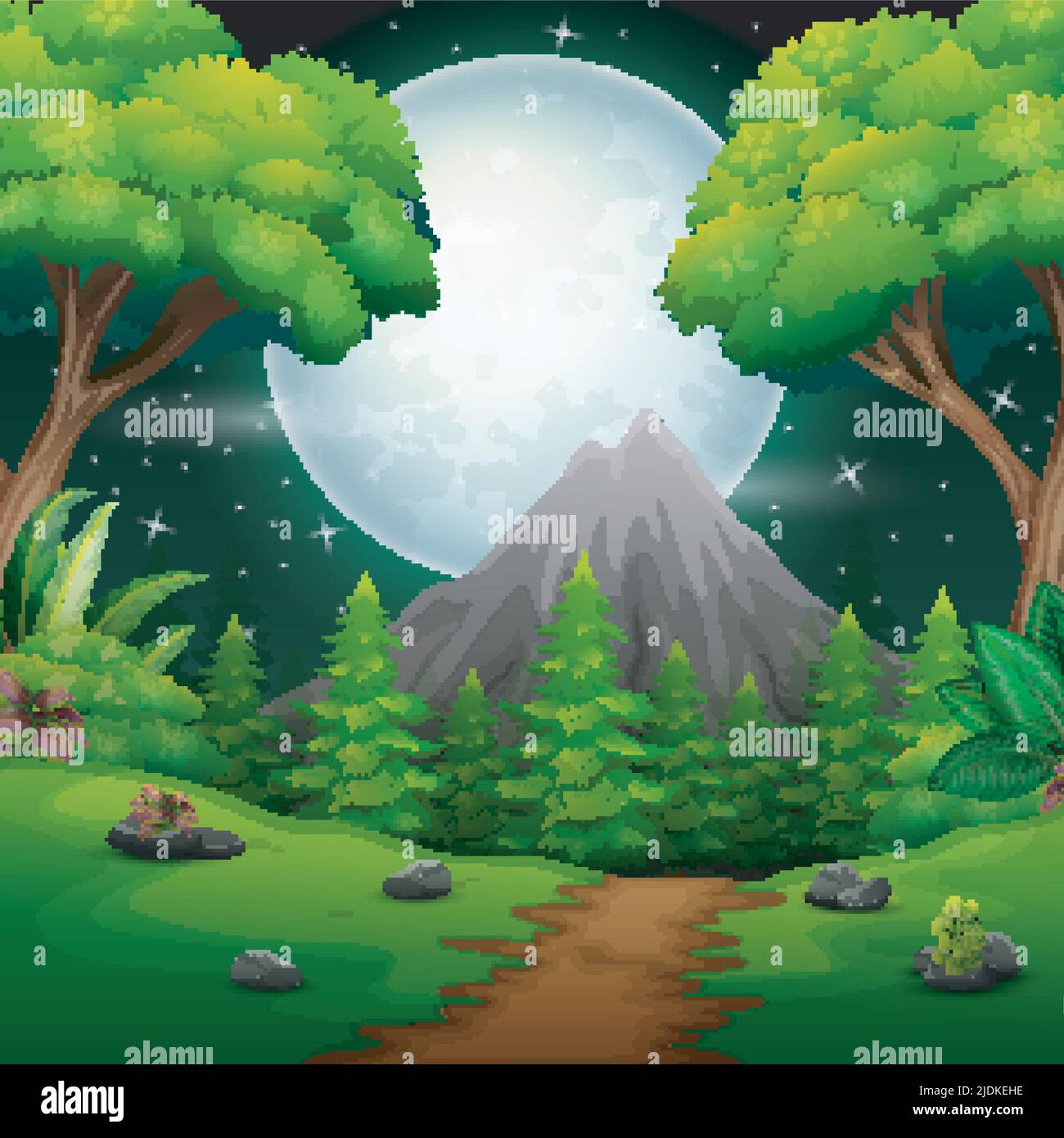 Night time forest landscape with a Full moon and a Starry sky Stock ...