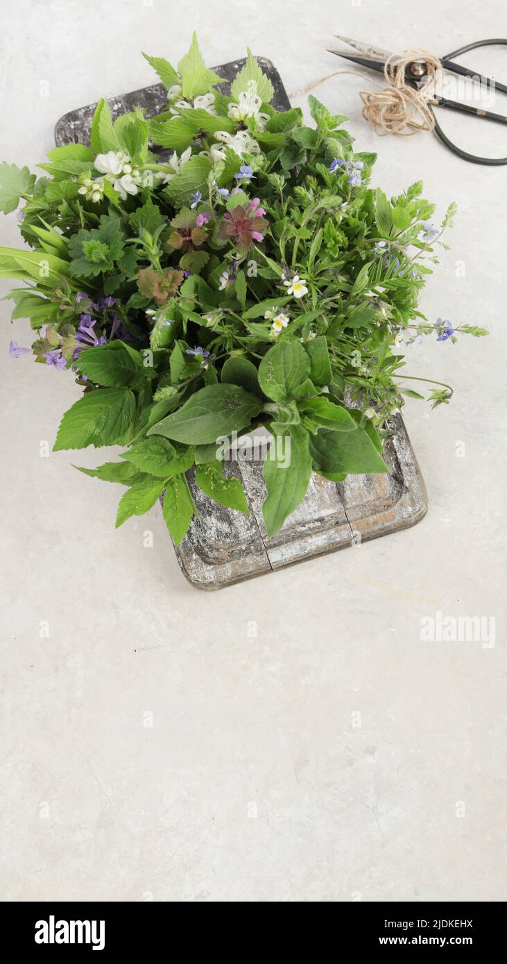 Edible plants and flowers on a light background. Wild herbs as sources of carotenoids. Flat lay, top view, copy space Stock Photo