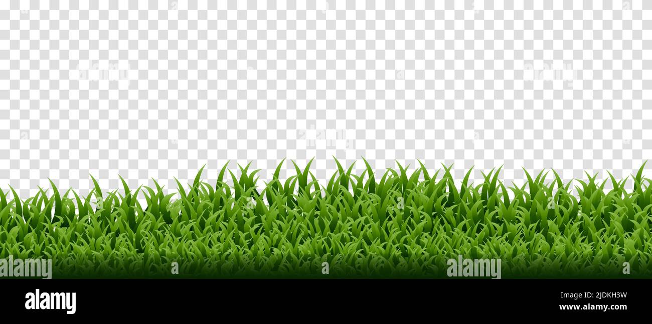 Green grass border set on transparent background. Vector Illustration Stock Vector