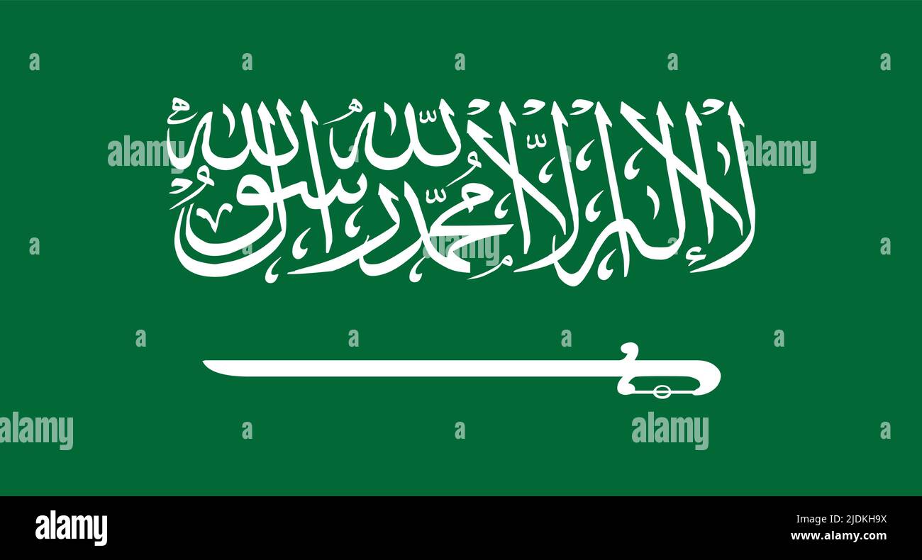 Saudi Arabia flag. Vector illustration Stock Vector
