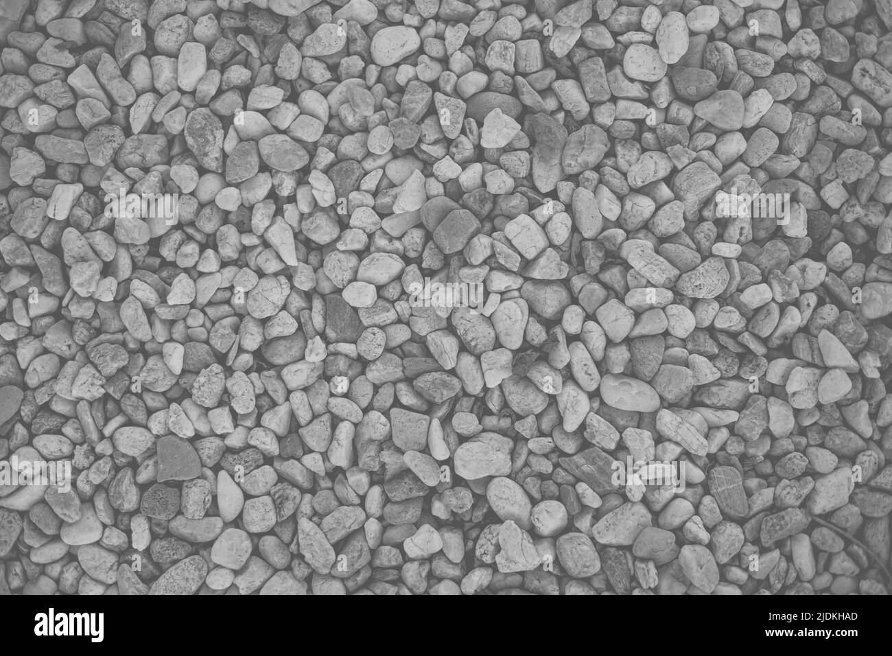 small pebble rock stones nature pattern texture for background black and white Stock Photo