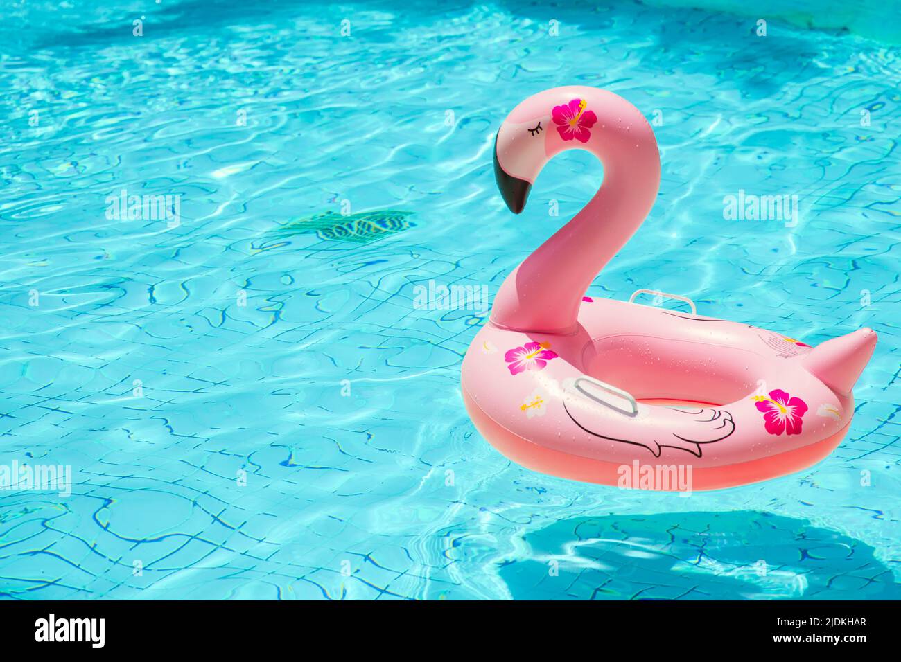 Empty Swimming Pool with Pink Flamingo Swimming Ring Cooling chill Summer season nobody. Stock Photo
