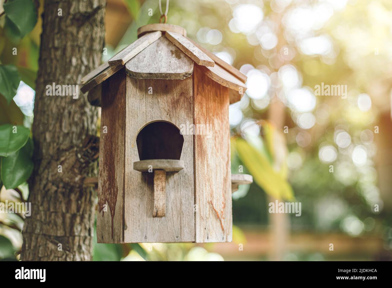 birdhouse. wood bird home house box at tree in the garden Stock Photo