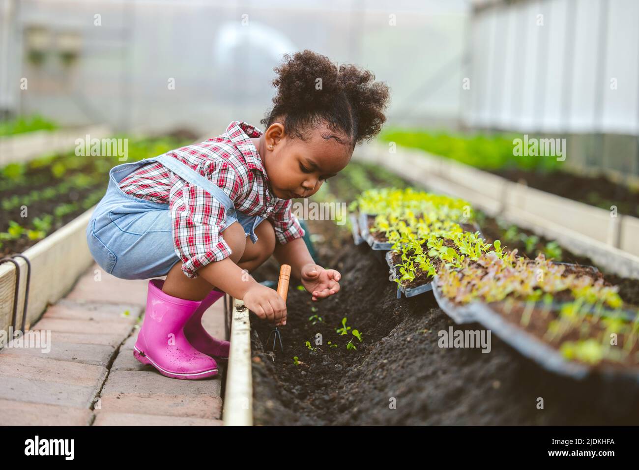 Child play planting the green tree in the garden. Stock Photo