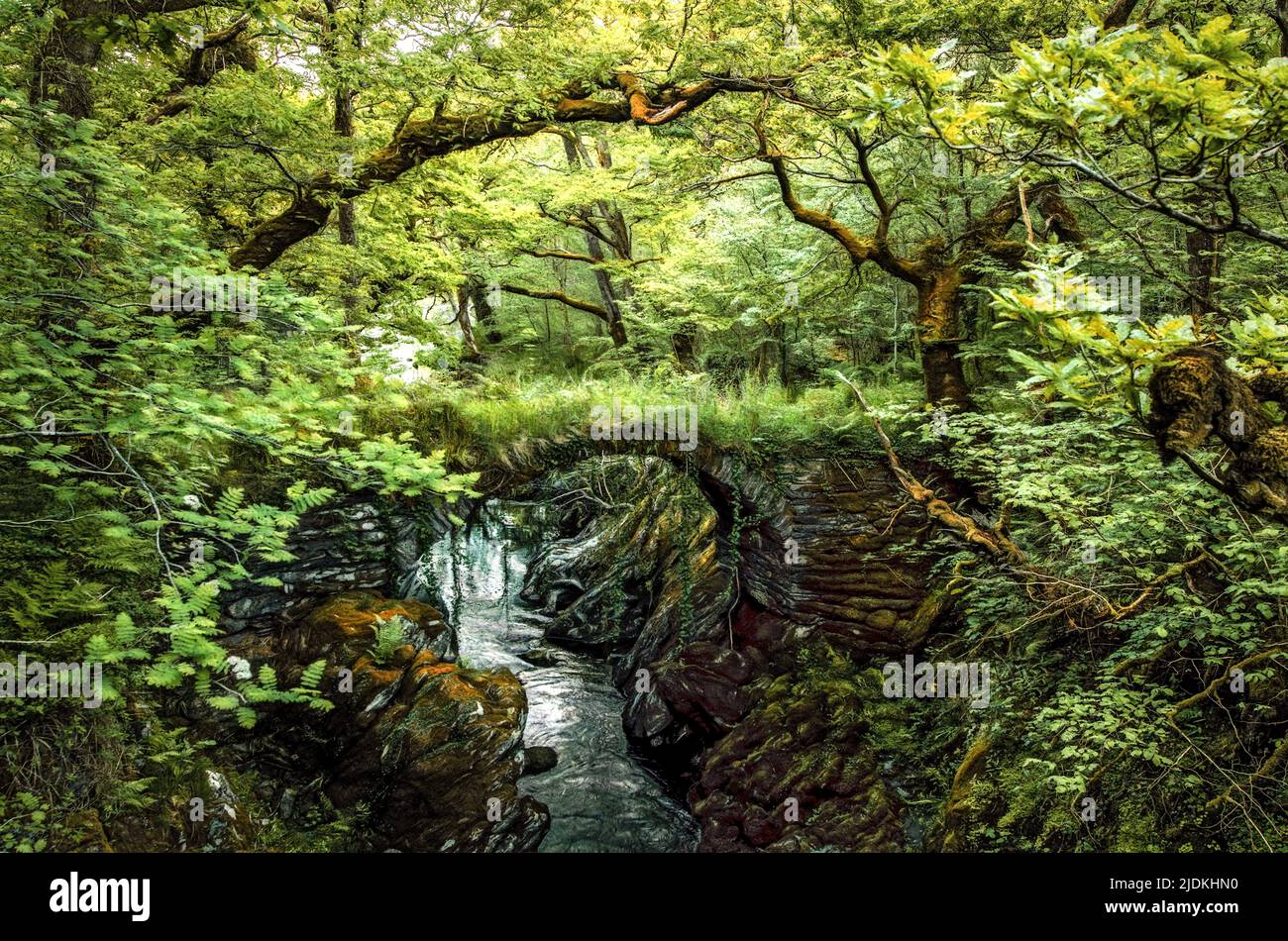 Woodland scene with small stone bridge Stock Photo - Alamy