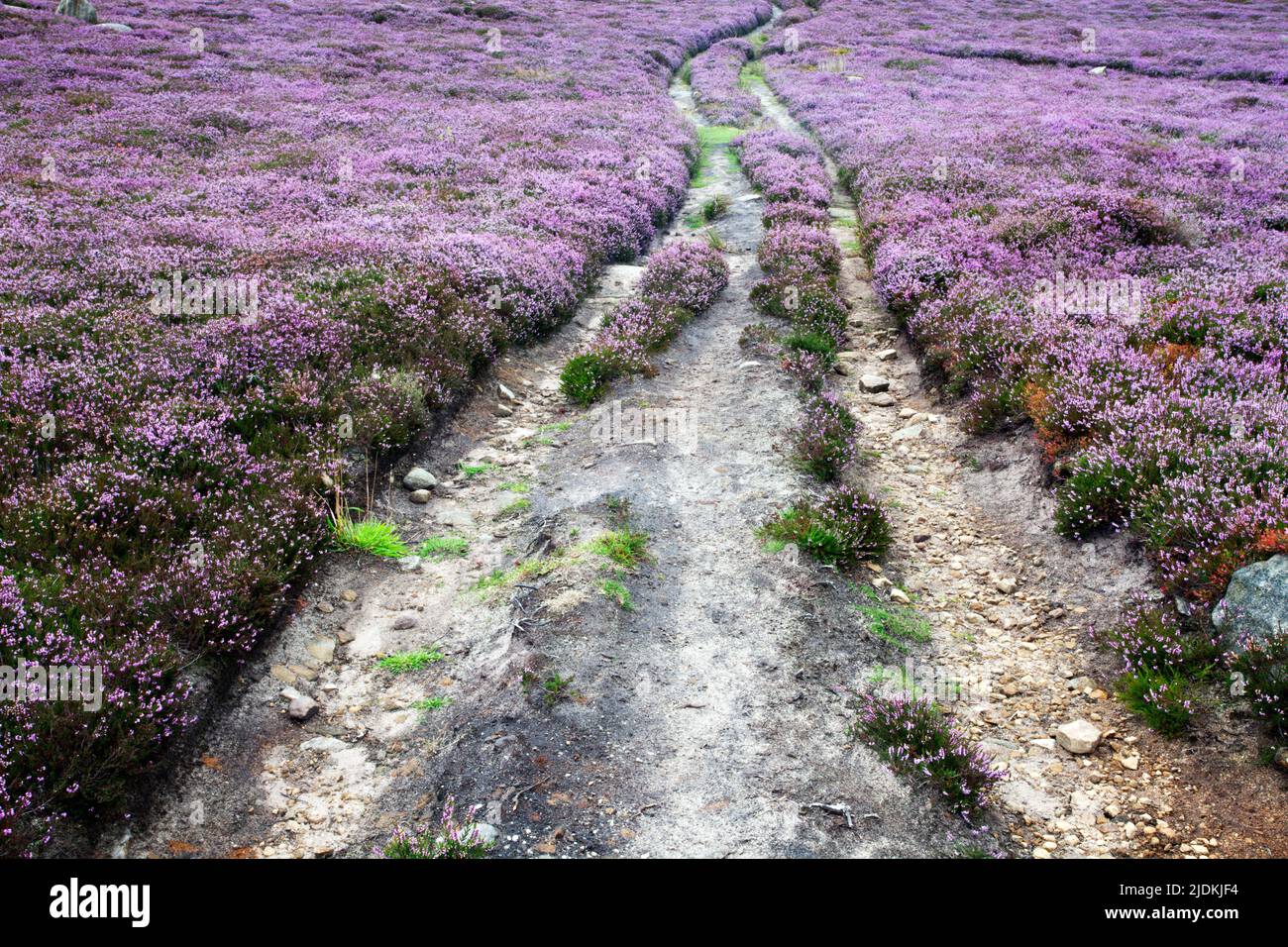 Remote rural location hi-res stock photography and images - Alamy
