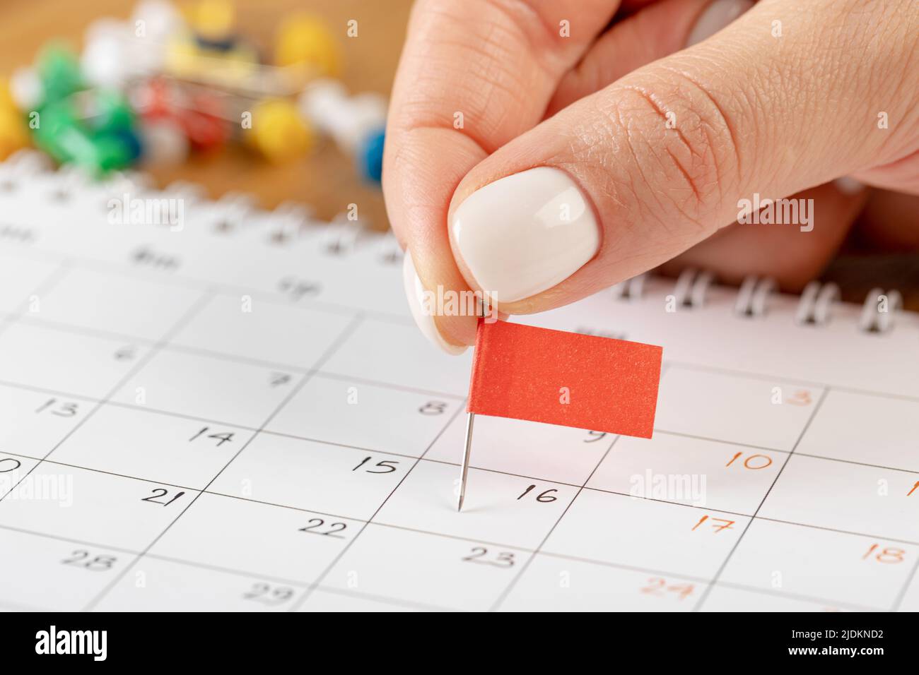 Hands fixing notes schedule, red flag pin thumbnail in calendar for meeting and appointment reminder Stock Photo