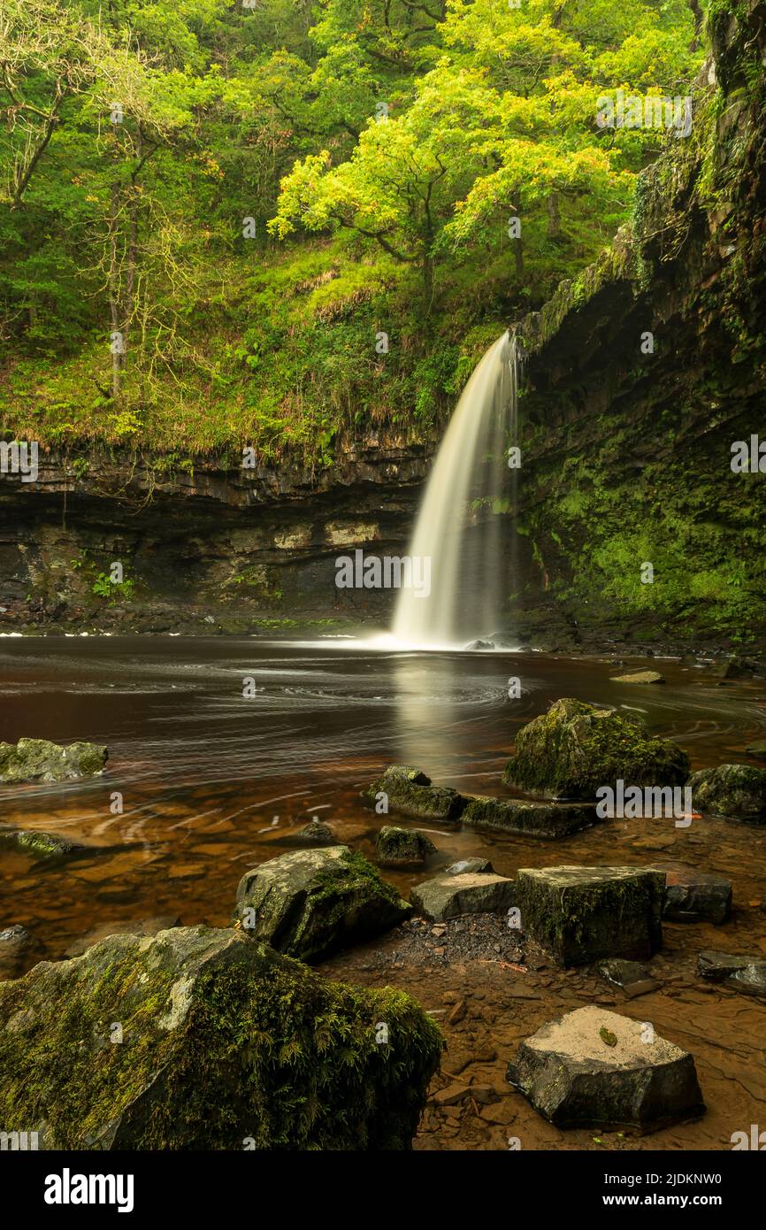 The Lady Falls - Sgwd Gwladus, Breacon Beacons, Wales, UK Stock Photo