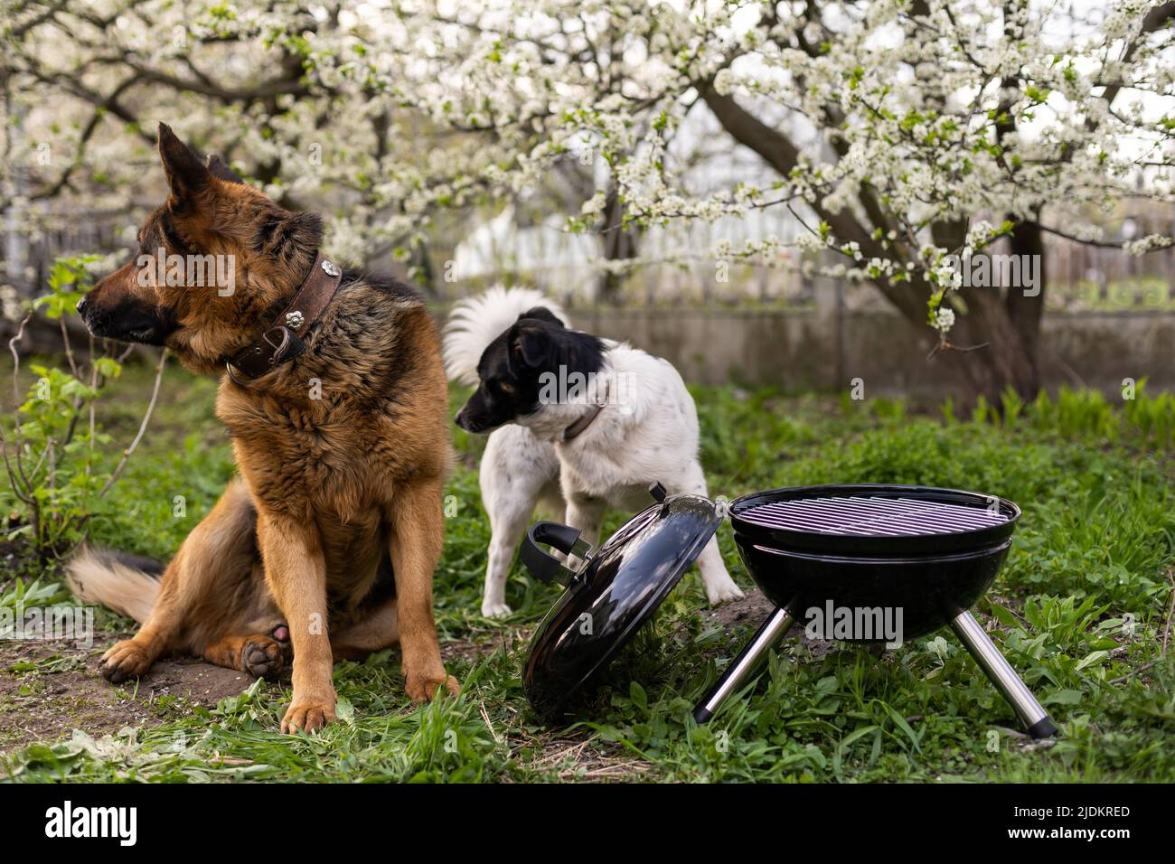 B and q online garden table