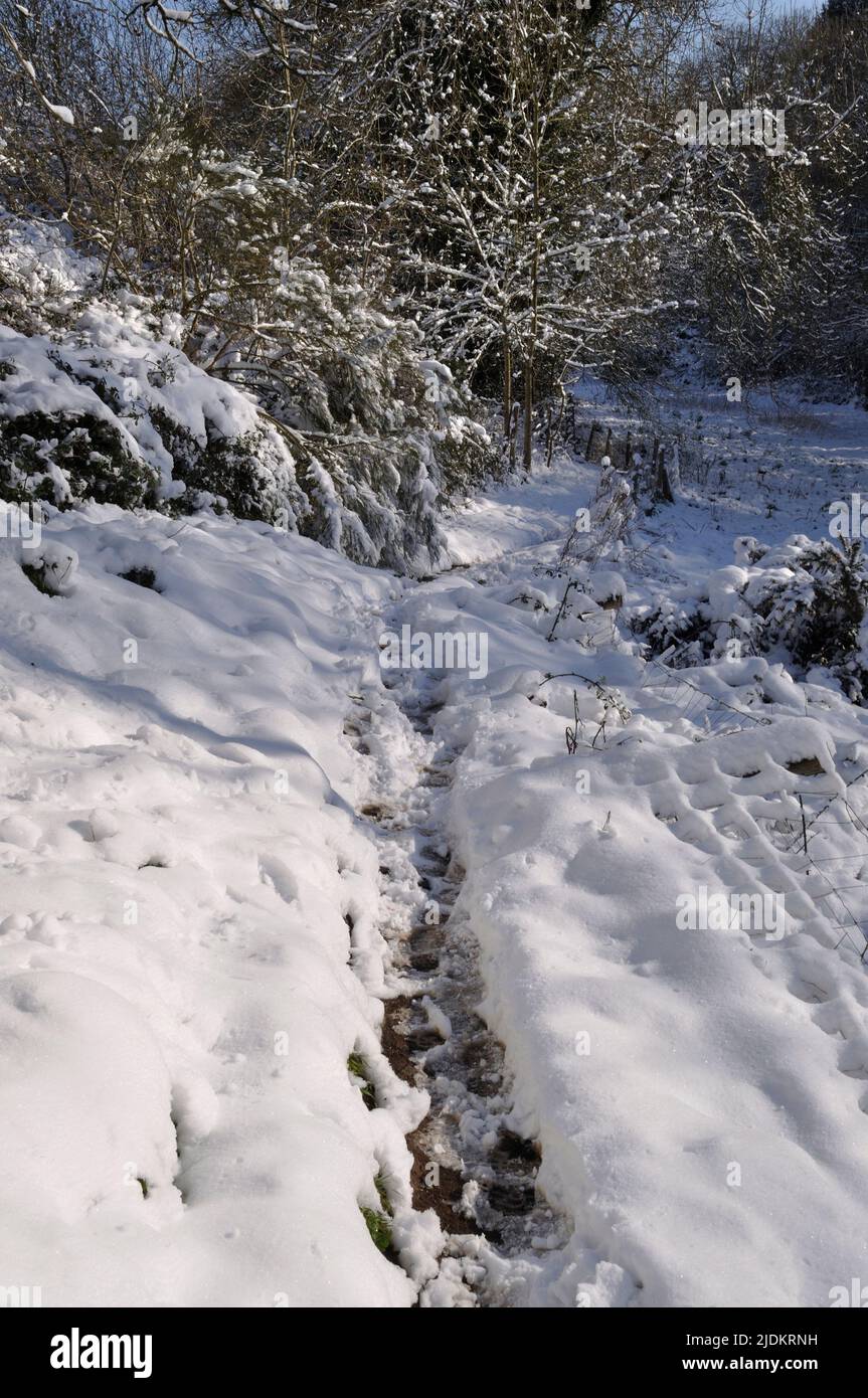 Path under the snow in Brittany Stock Photo Alamy