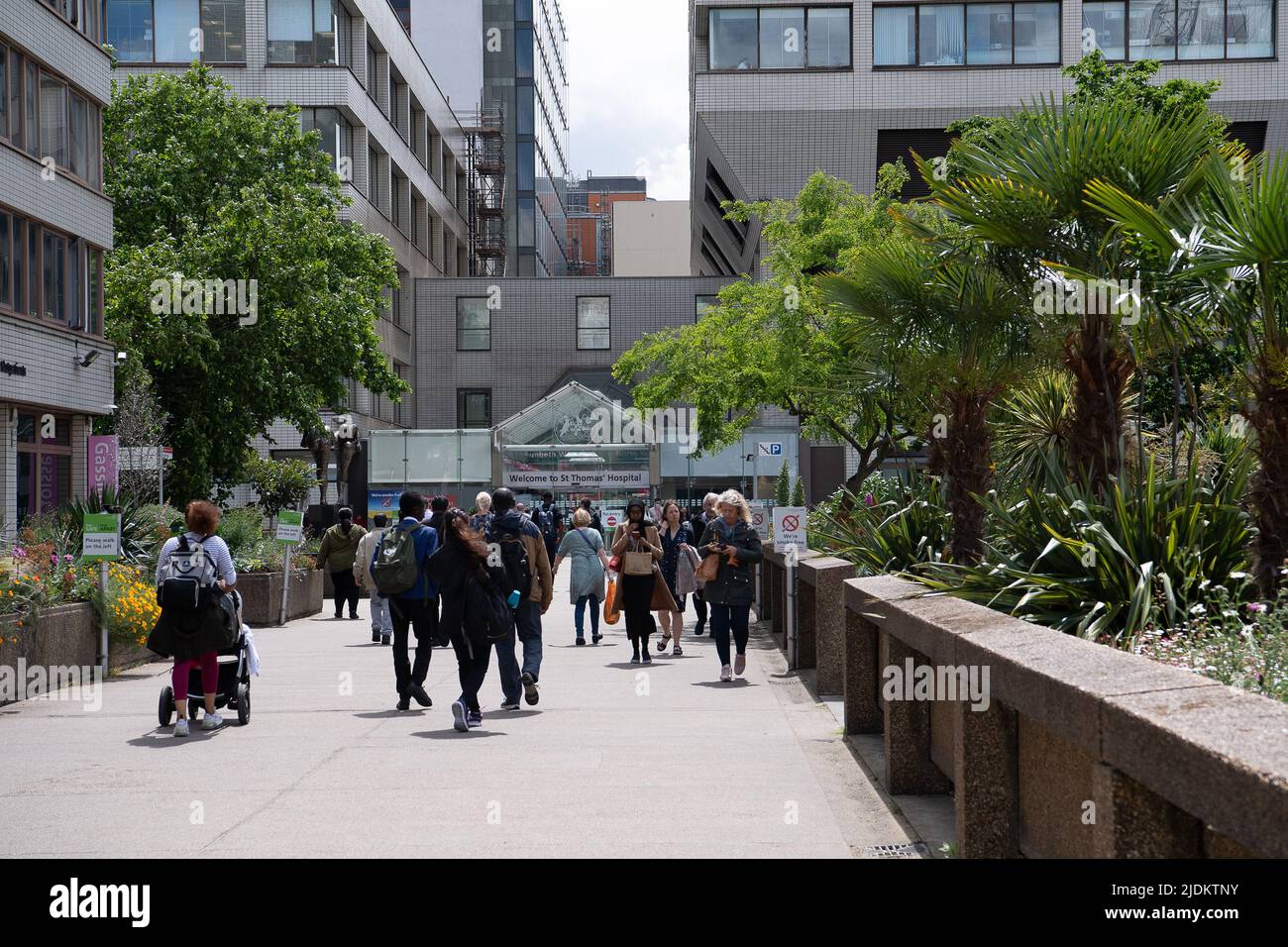 Westminster, London, UK. 8th June, 2022. A very busy day at St Thomas's Hospital in London. Credit: Maureen McLean/Alamy Stock Photo