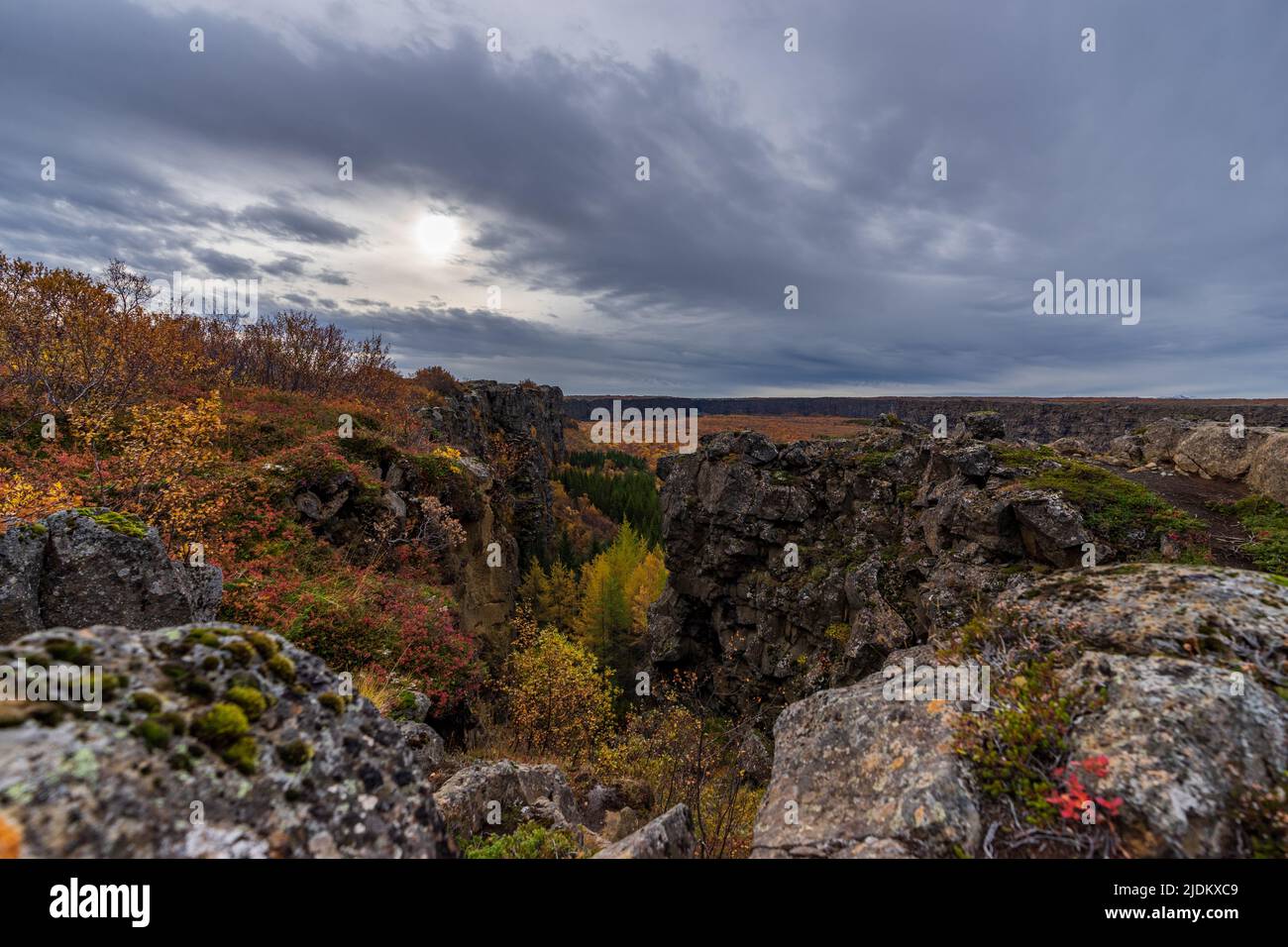 Asbyrgi canyon with orange trees on autumn Stock Photo