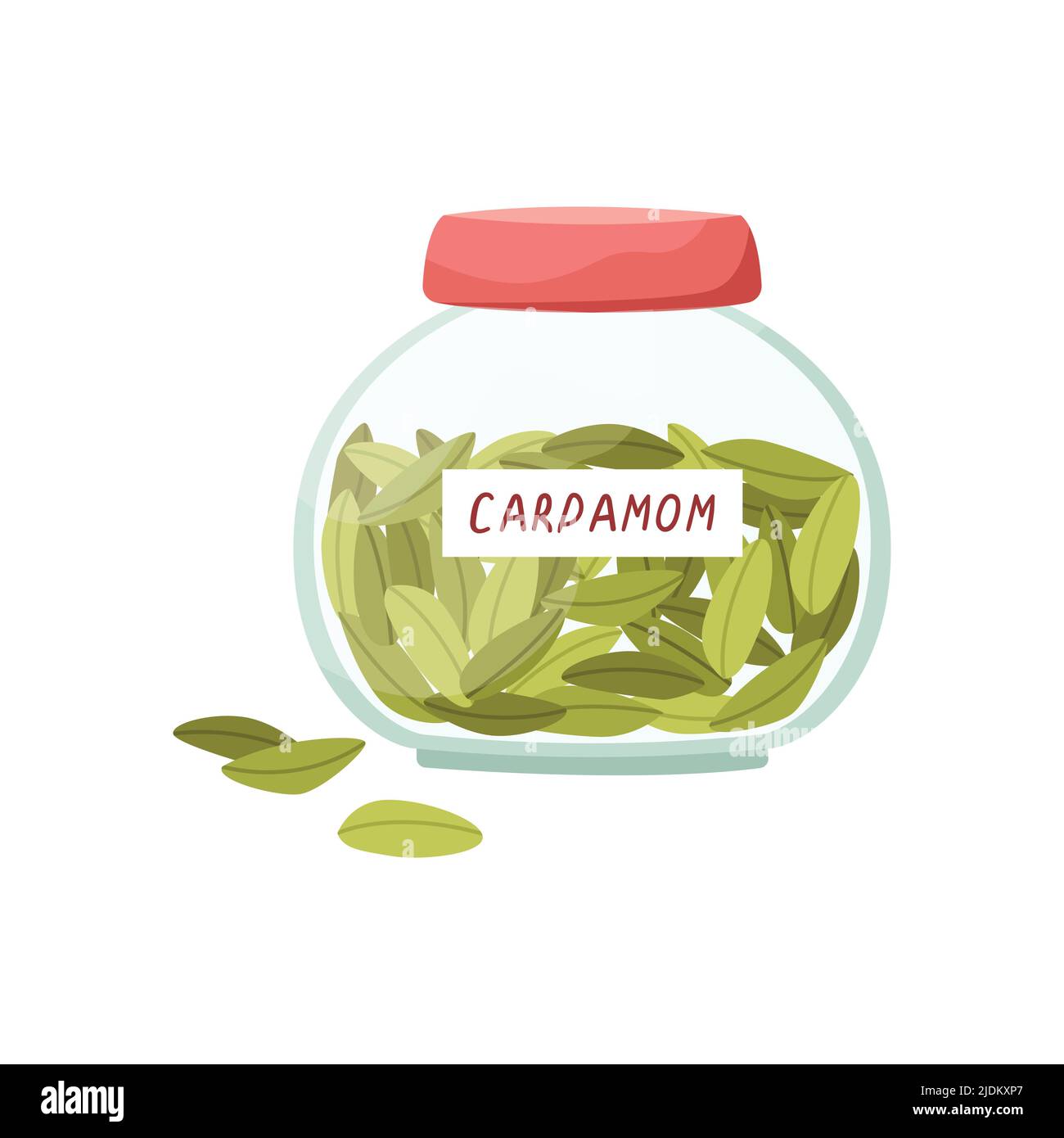 Vector illustration of a glass jar with cardamom. Spices. Stock Vector