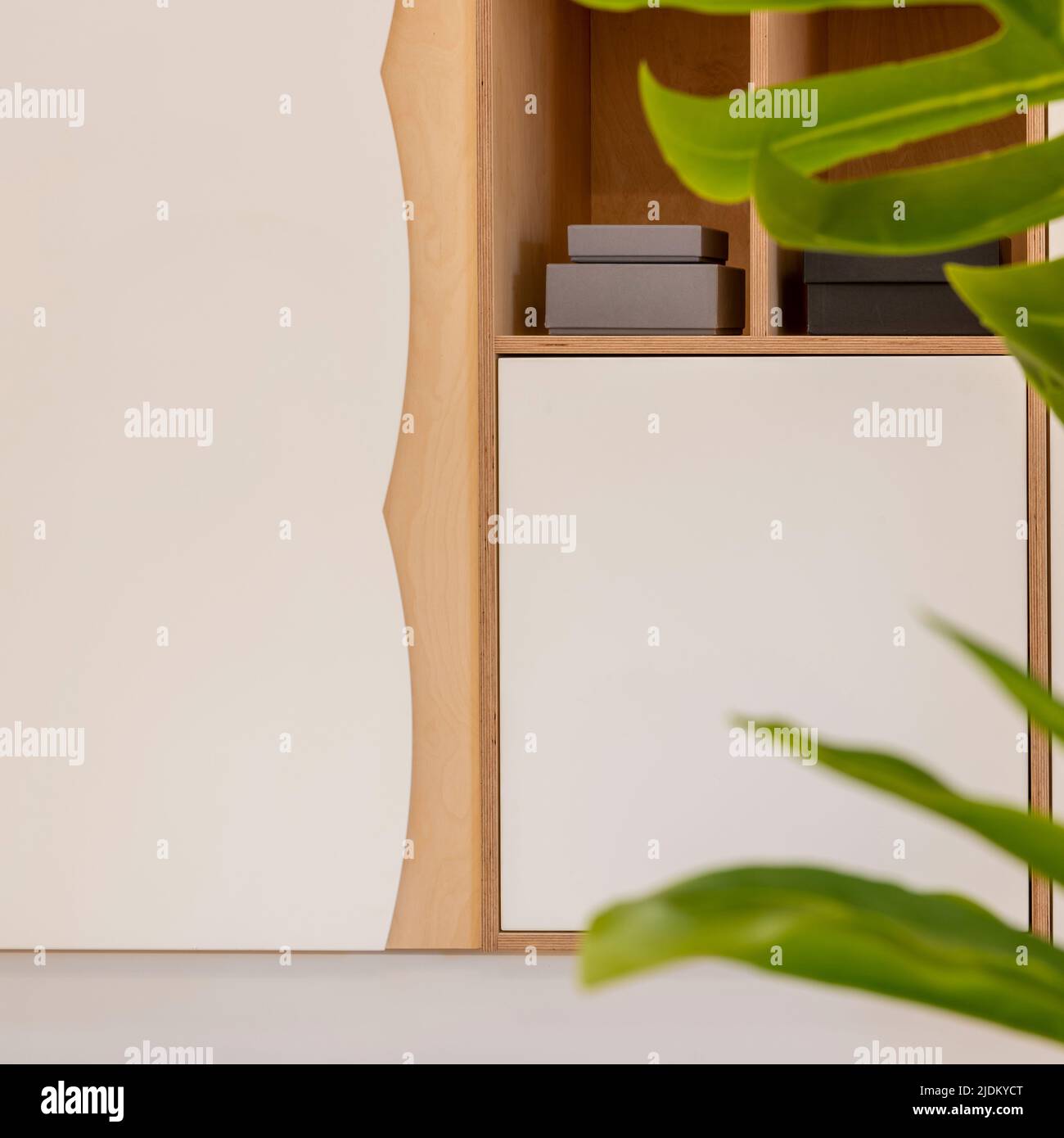 Closeup of a contemporary white MDF and wooden cupboard with an out of focus plant in the foreground. Stock Photo