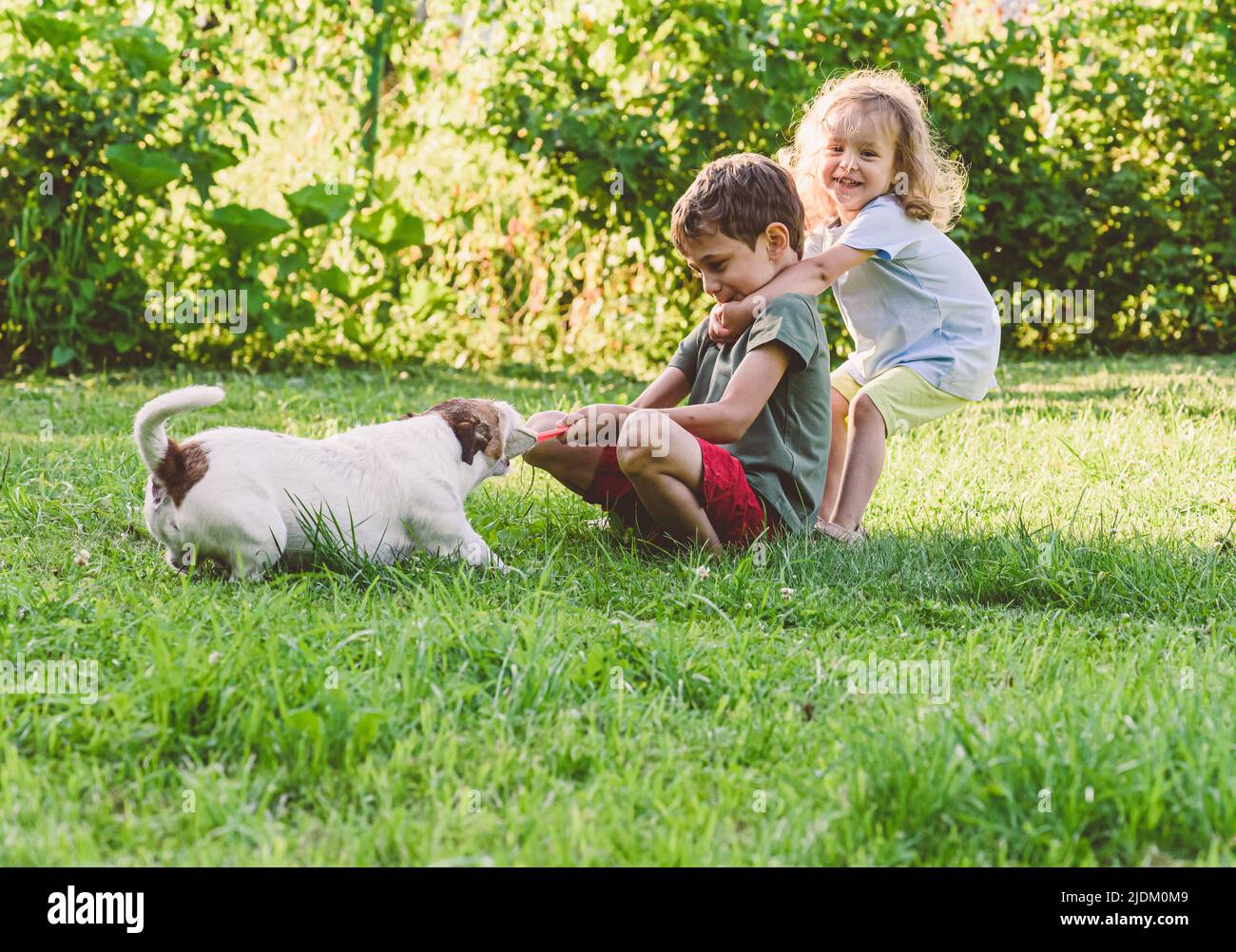 Happy smiling children playing tug-of-war game with their stubborn pet dog Stock Photo