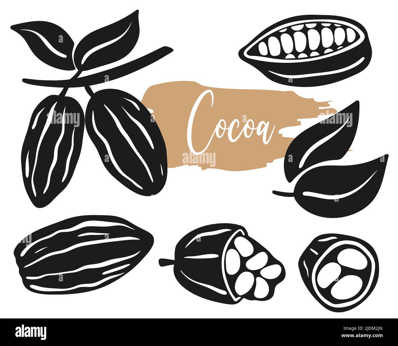 Cocoa beans isolated vector set illustration Stock Vector Image & Art
