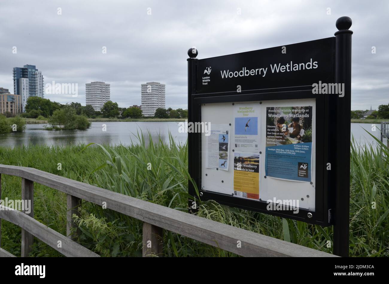 Woodberry Wetlands, an urban nature reserve in Stoke Newington, London Stock Photo