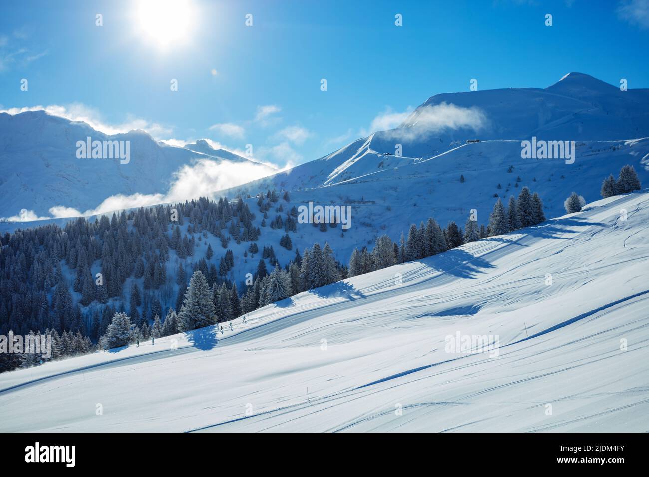 Panorama of ski track on the slope over snow covered fir forest Stock Photo
