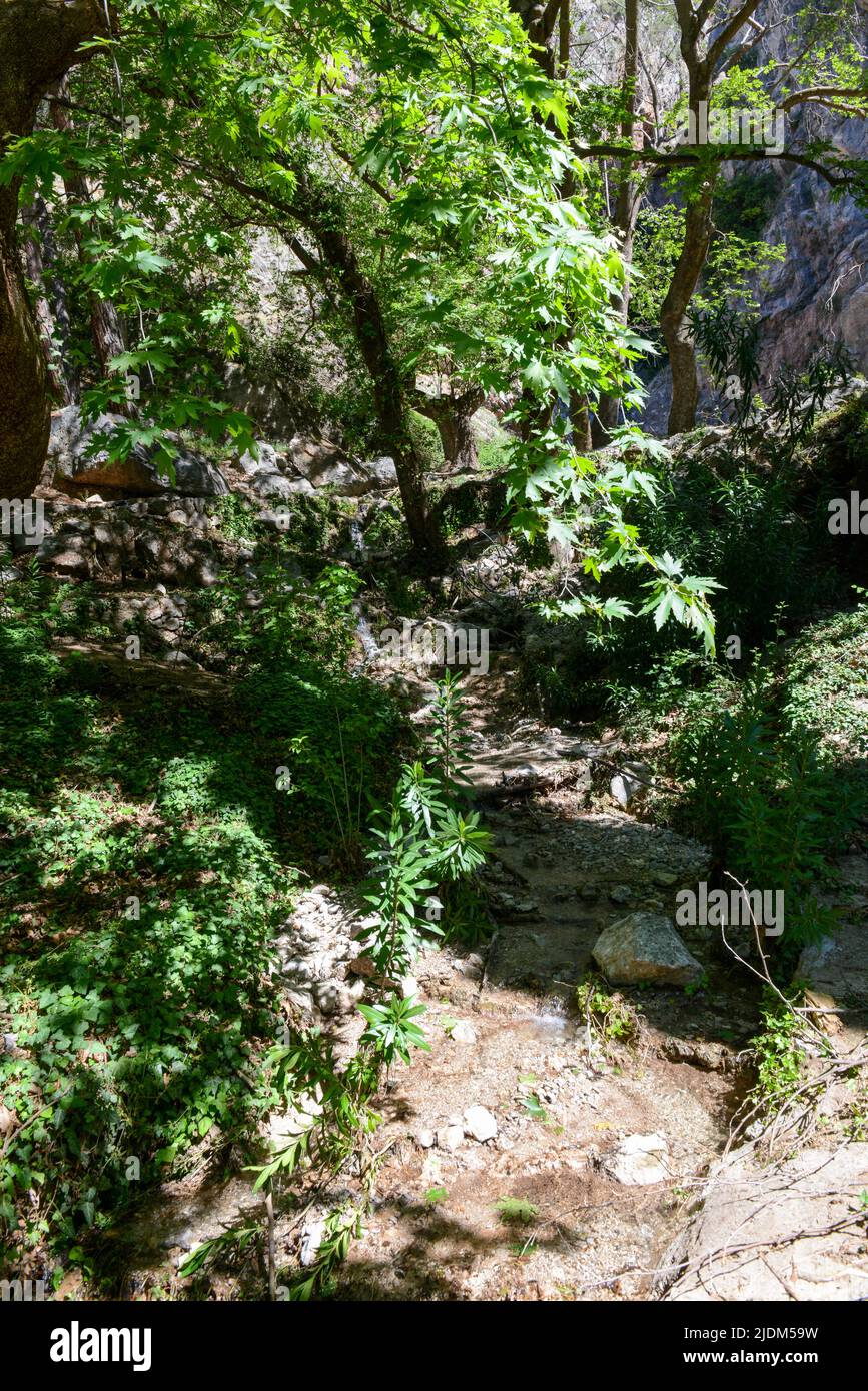 View at Source Castalia of Delfi on Greece Stock Photo