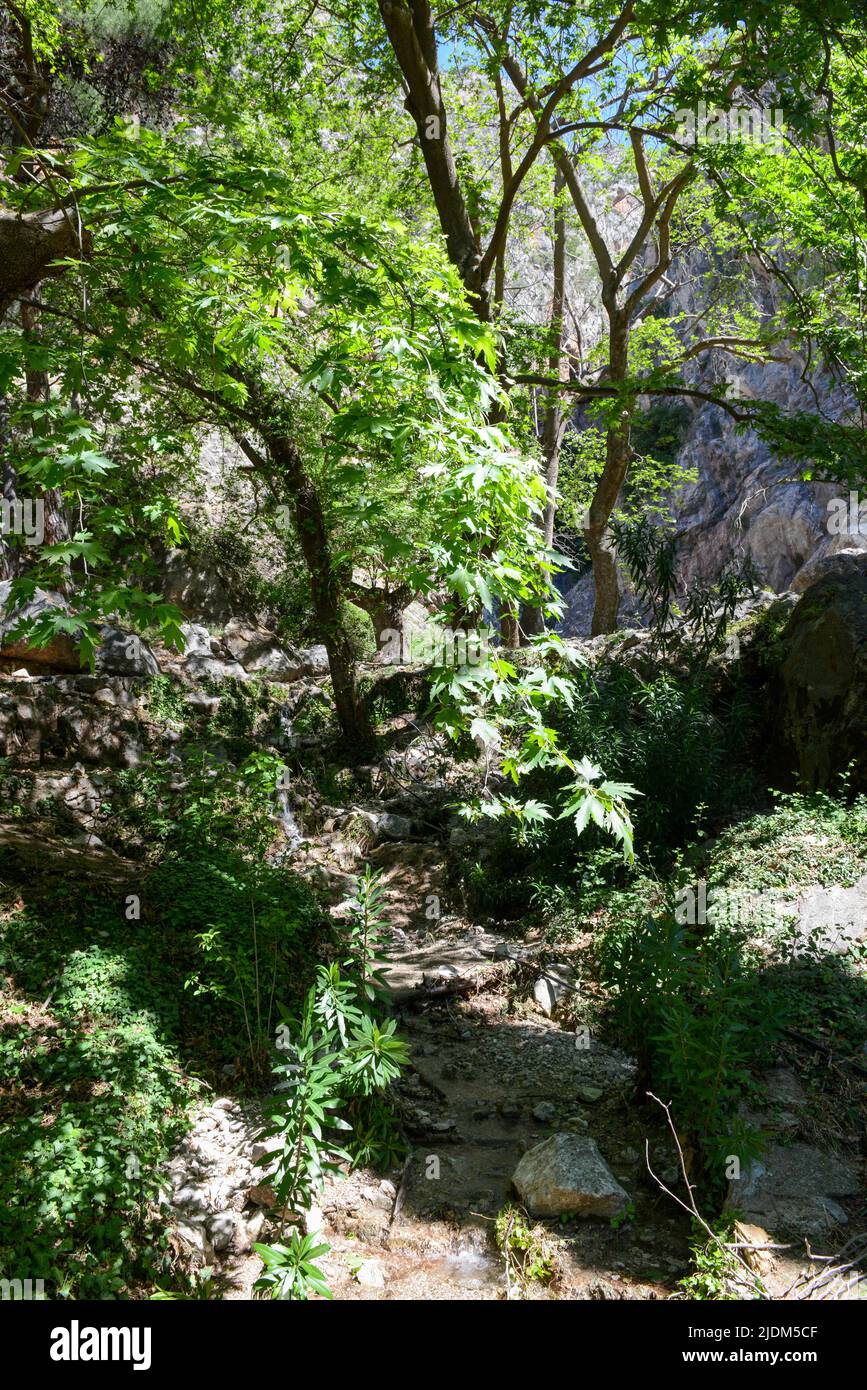 View at the archaeological site of Delfi on Greece Stock Photo