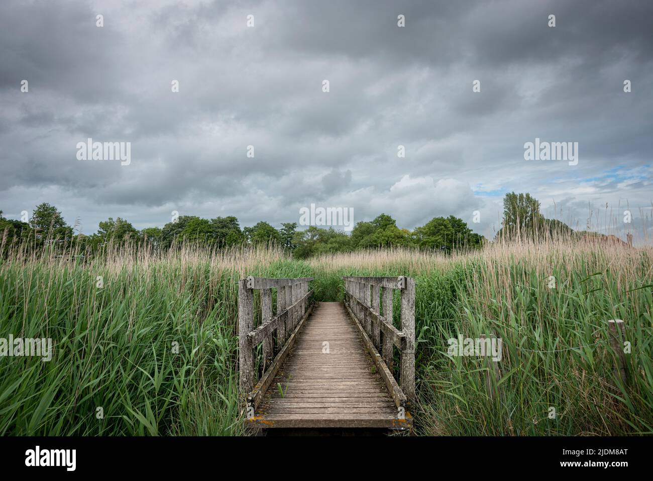 Wooden foot bridge in wetlands. Stock Photo