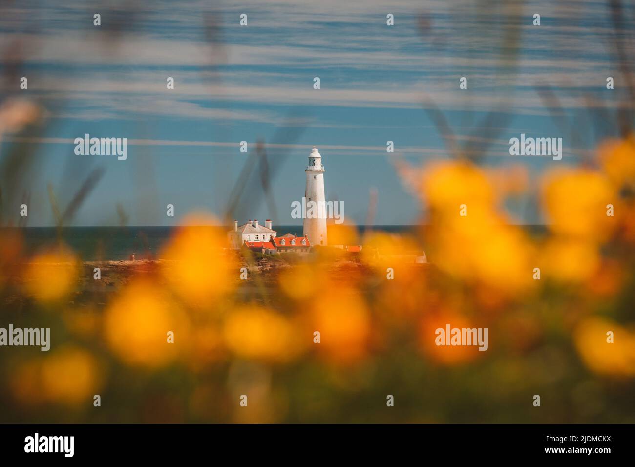 St Mary's Lighthouse in Whitley Bay, England Stock Photo Alamy