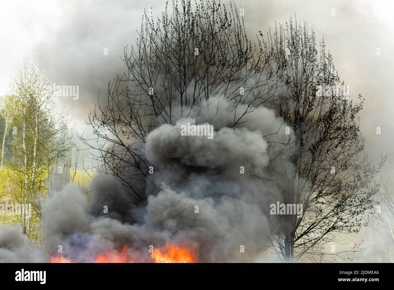 Black smoke from fire. Burning of garbage. Destruction of nature