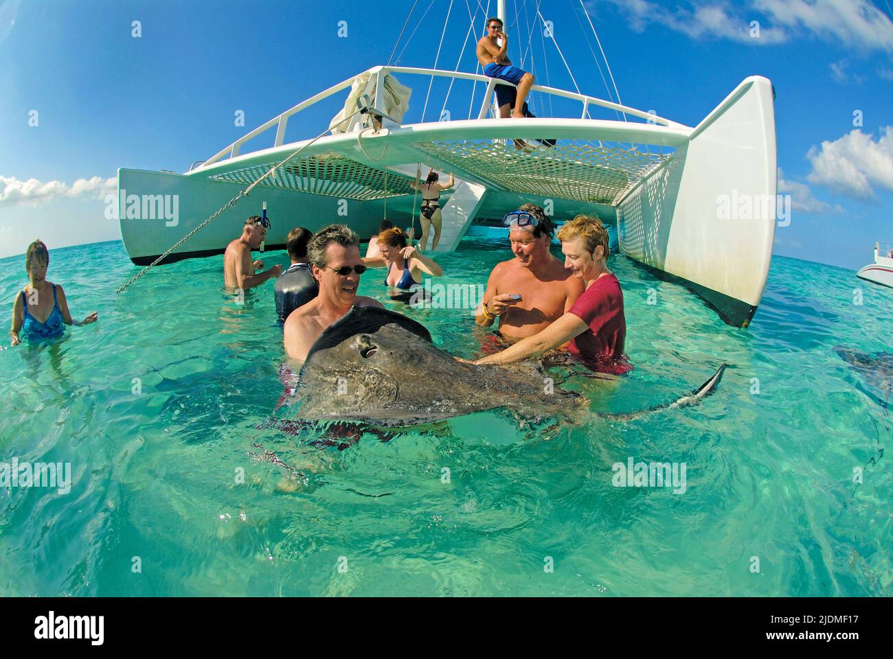 Stingray city grand cayman hi-res stock photography and images - Alamy