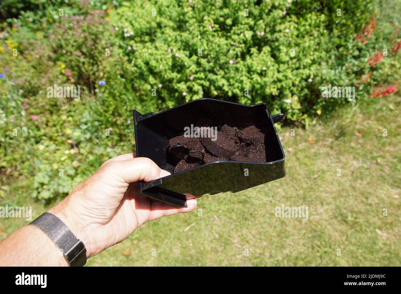 Closeup used coffee grounds after espresso machine. Holding ground