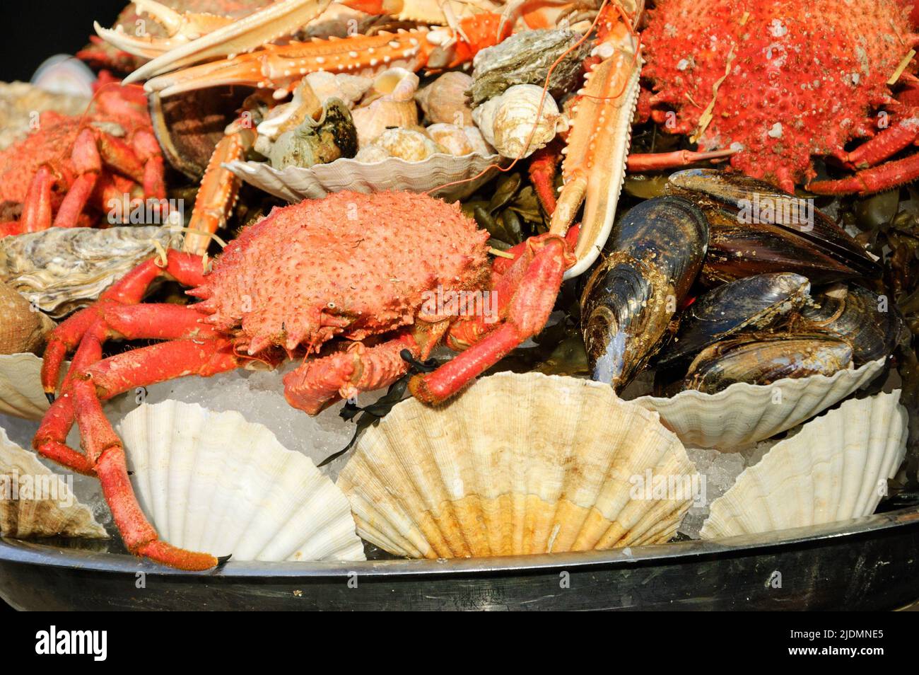 Fresh seafood indulgenceFresh seafood on ice at traditional seafood