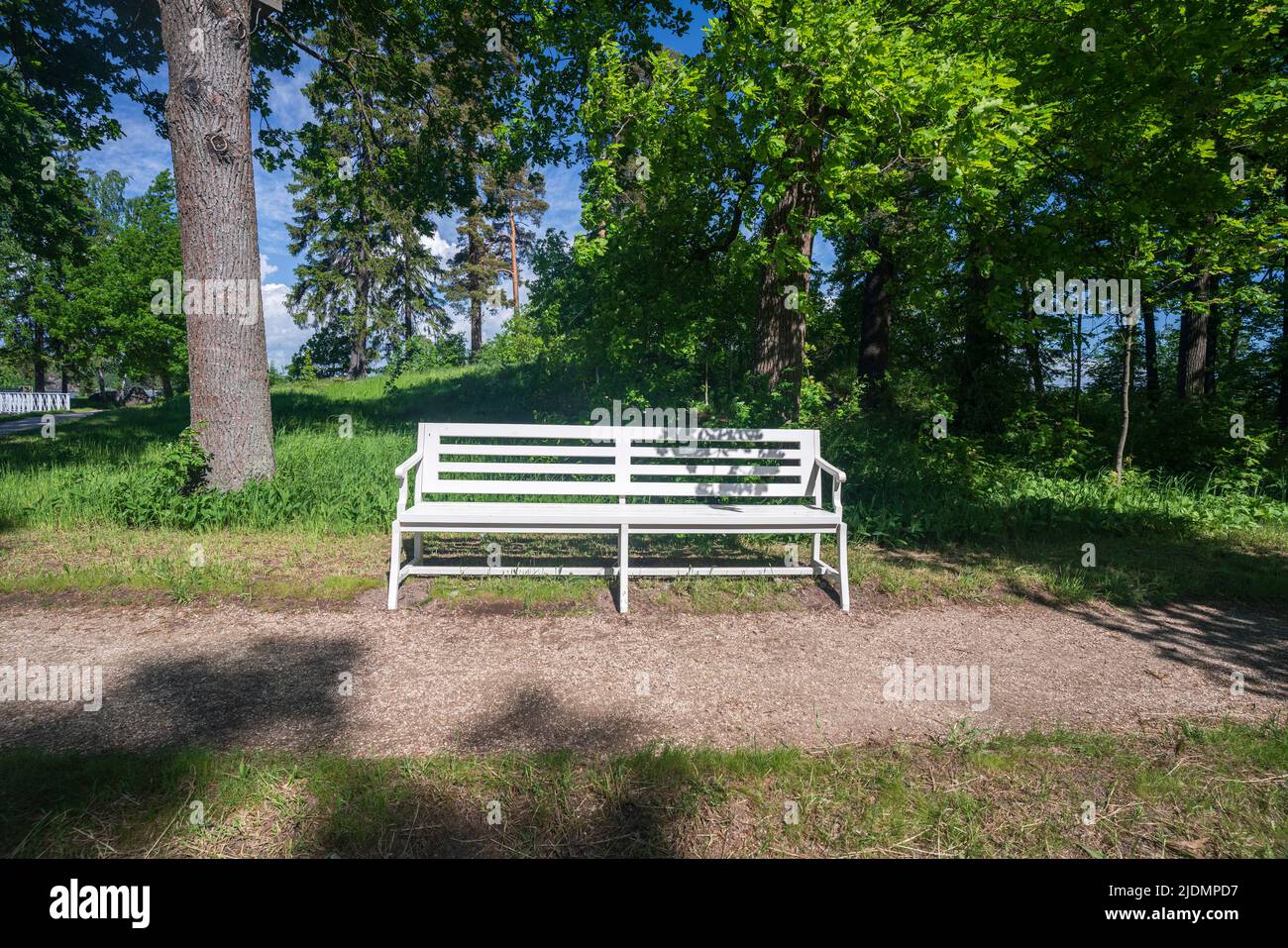 White bench in a park or forest. High quality photo Stock Photo