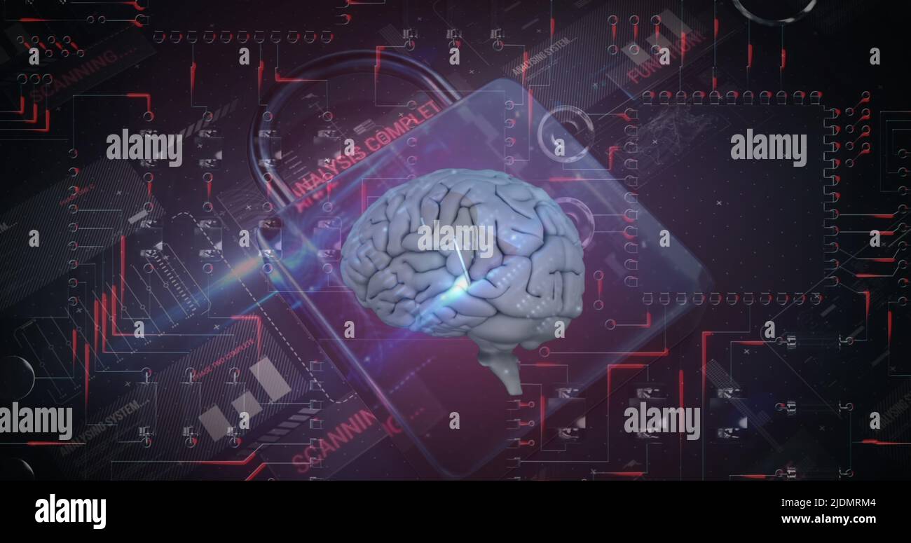 Image of human brain, data processing, online security padlock and