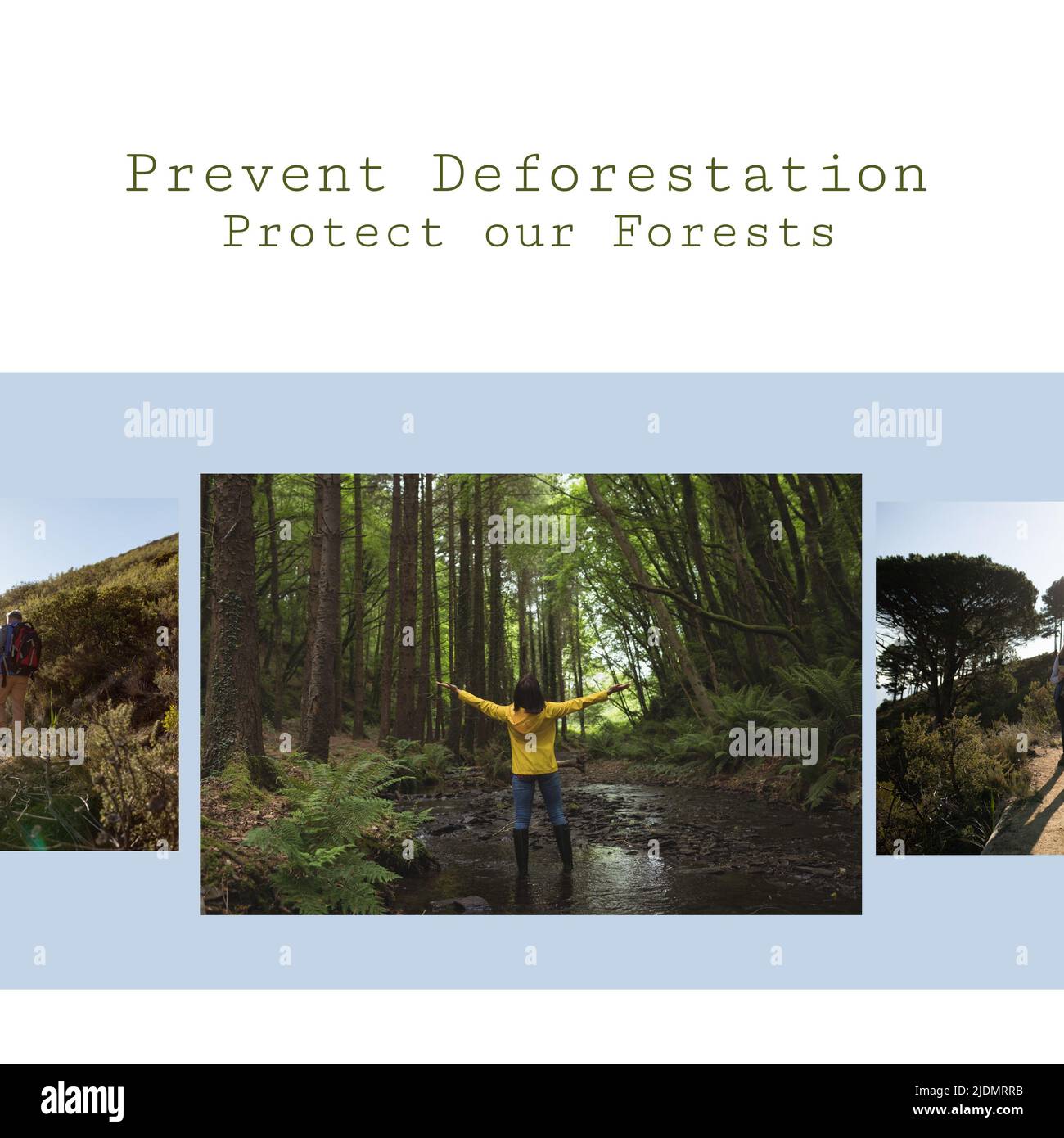 Collage of caucasian explorers enjoying in forest and prevent deforestation, protect our forests Stock Photo