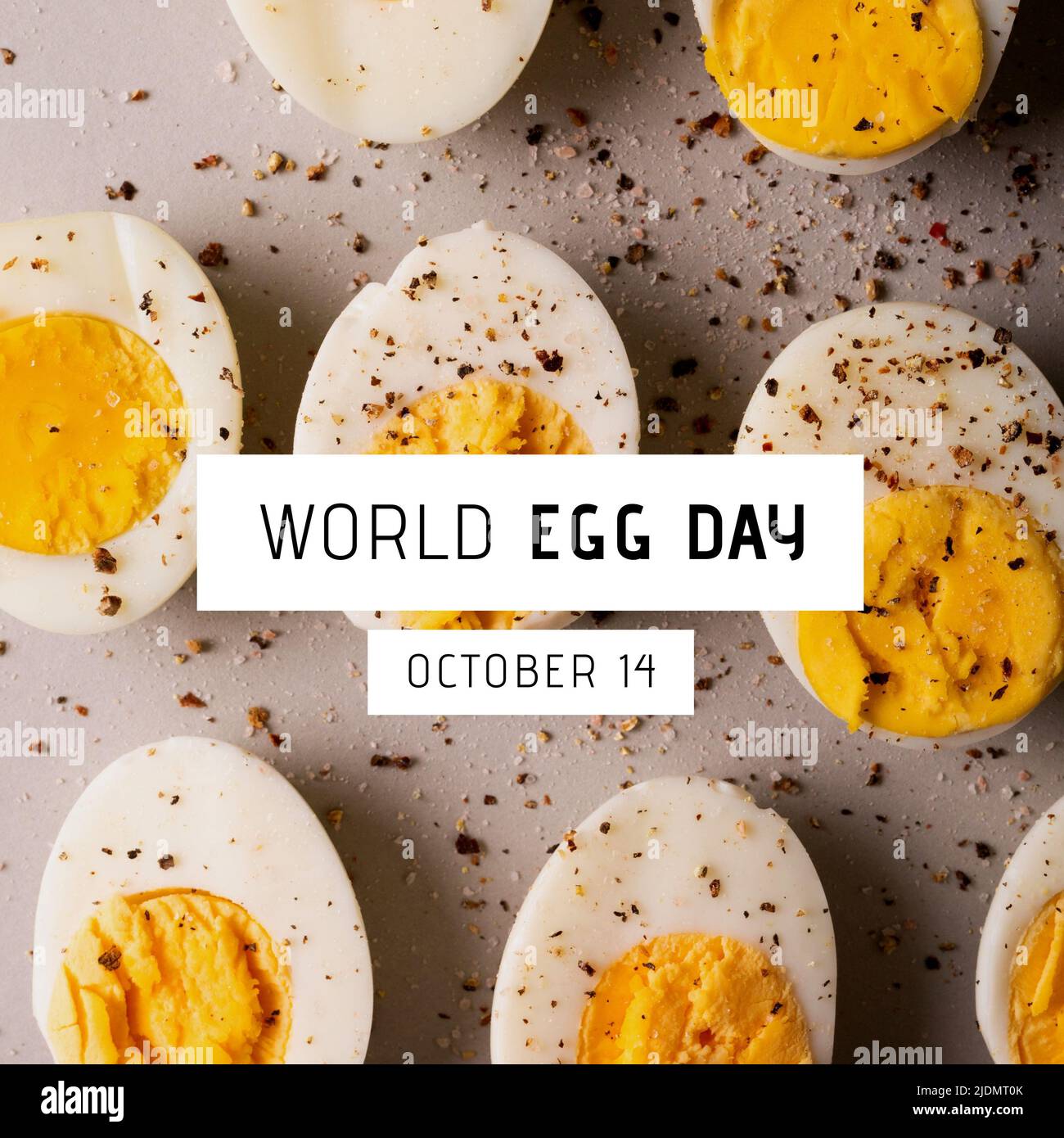 Boiled egg slices with pepper and salt and world egg day with october 14th text on table Stock Photo