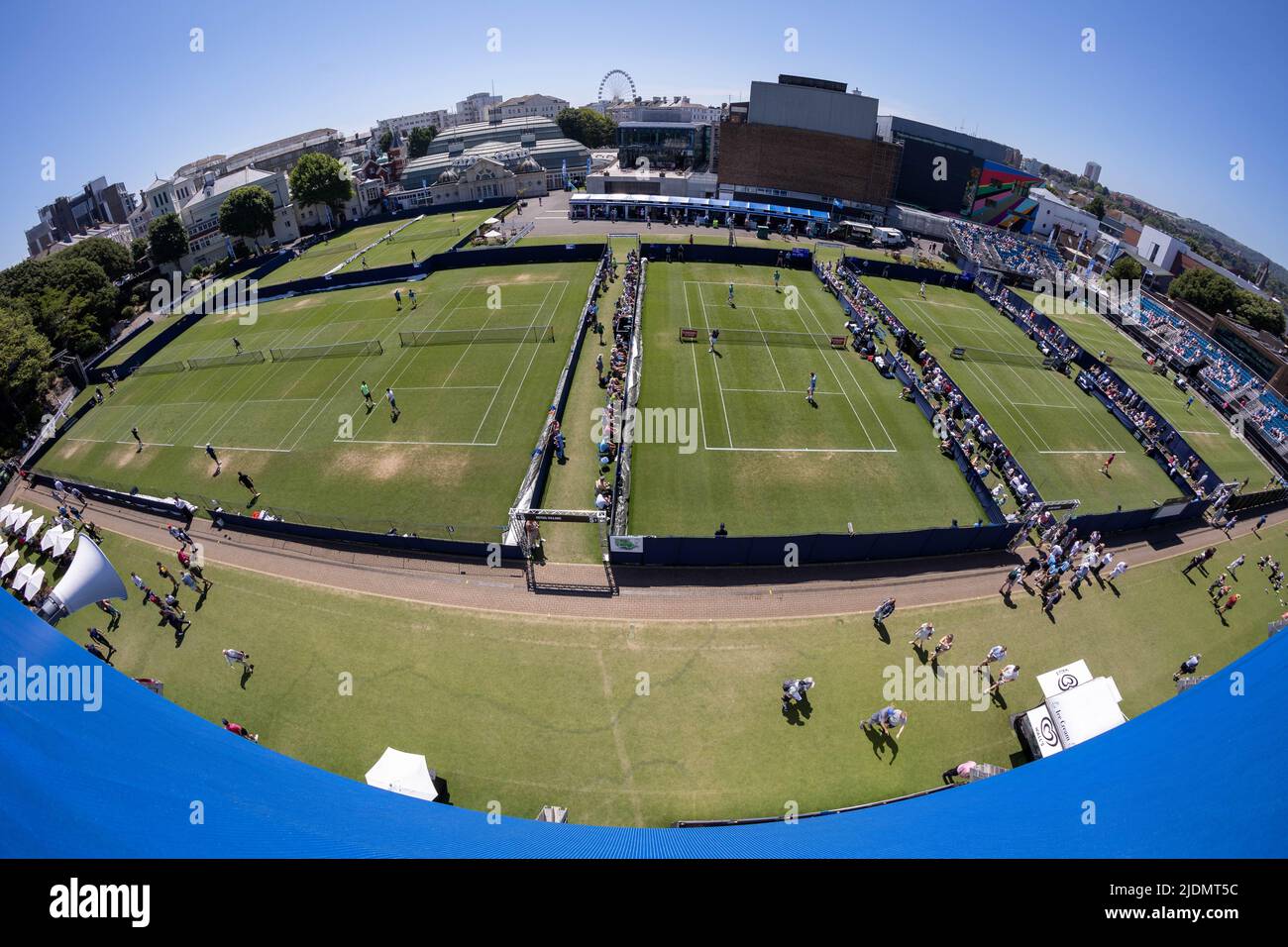 Why This Vandalism Strikes at the Heart of British Tennis’ Grass-Court Gambit