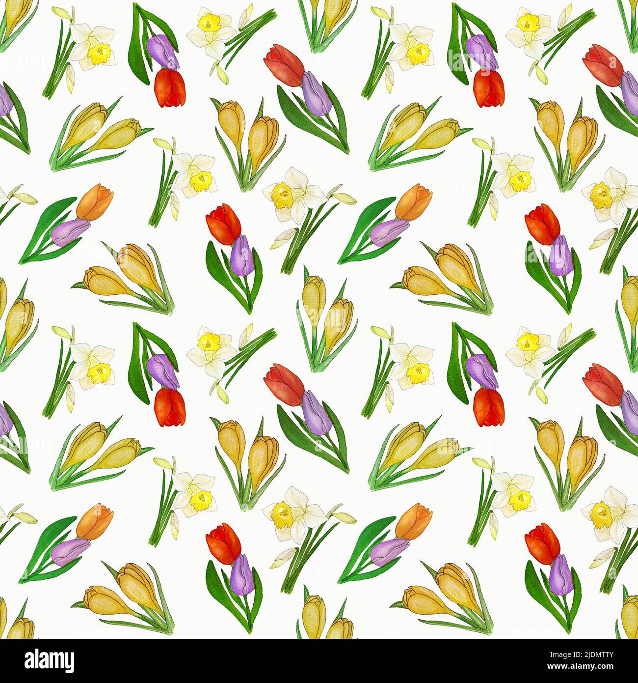 Watercolor seamless spring floral pattern with narcissus, tulip and ...