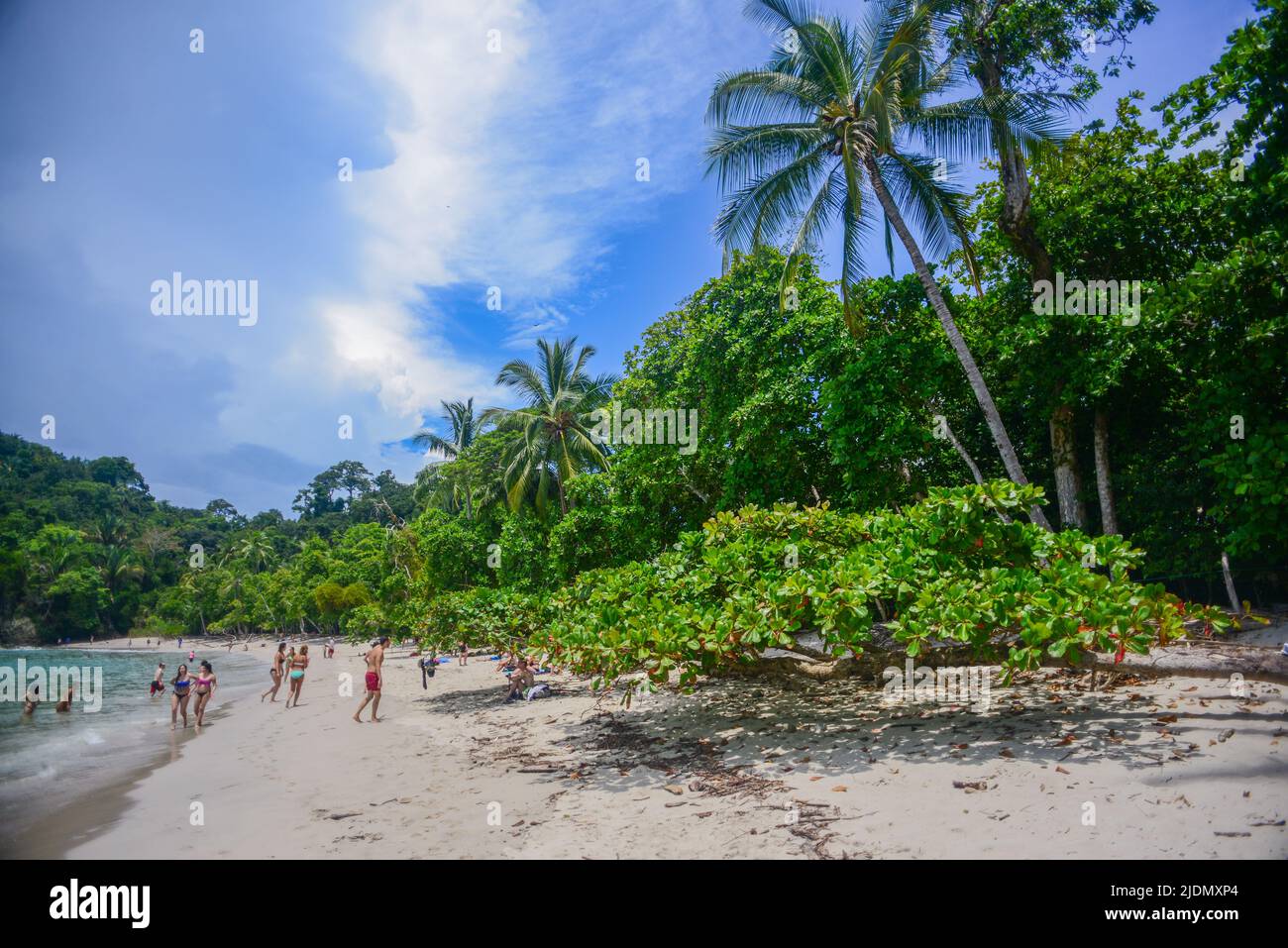 Beach at Manuel Antonio National Park, Costa Rica Stock Photo Alamy