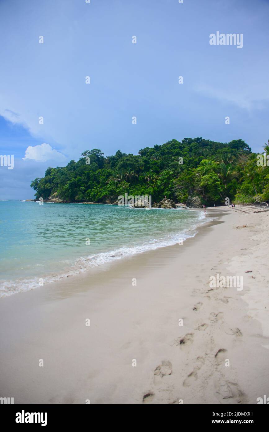 Beach at Manuel Antonio National Park, Costa Rica Stock Photo Alamy