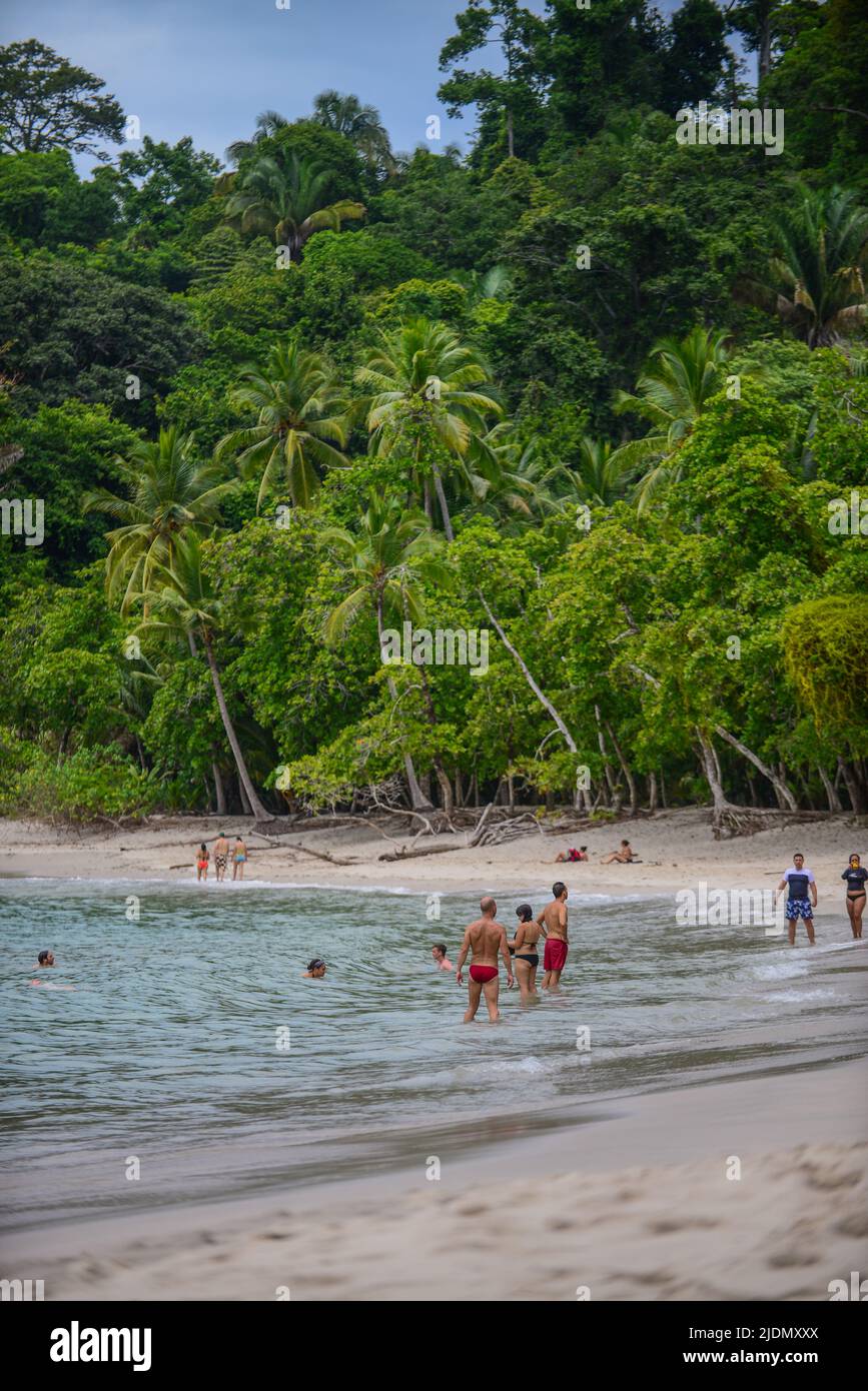 Beach at Manuel Antonio National - Beach At Manuel Antonio National Park Costa Rica 2JDMXXX 
