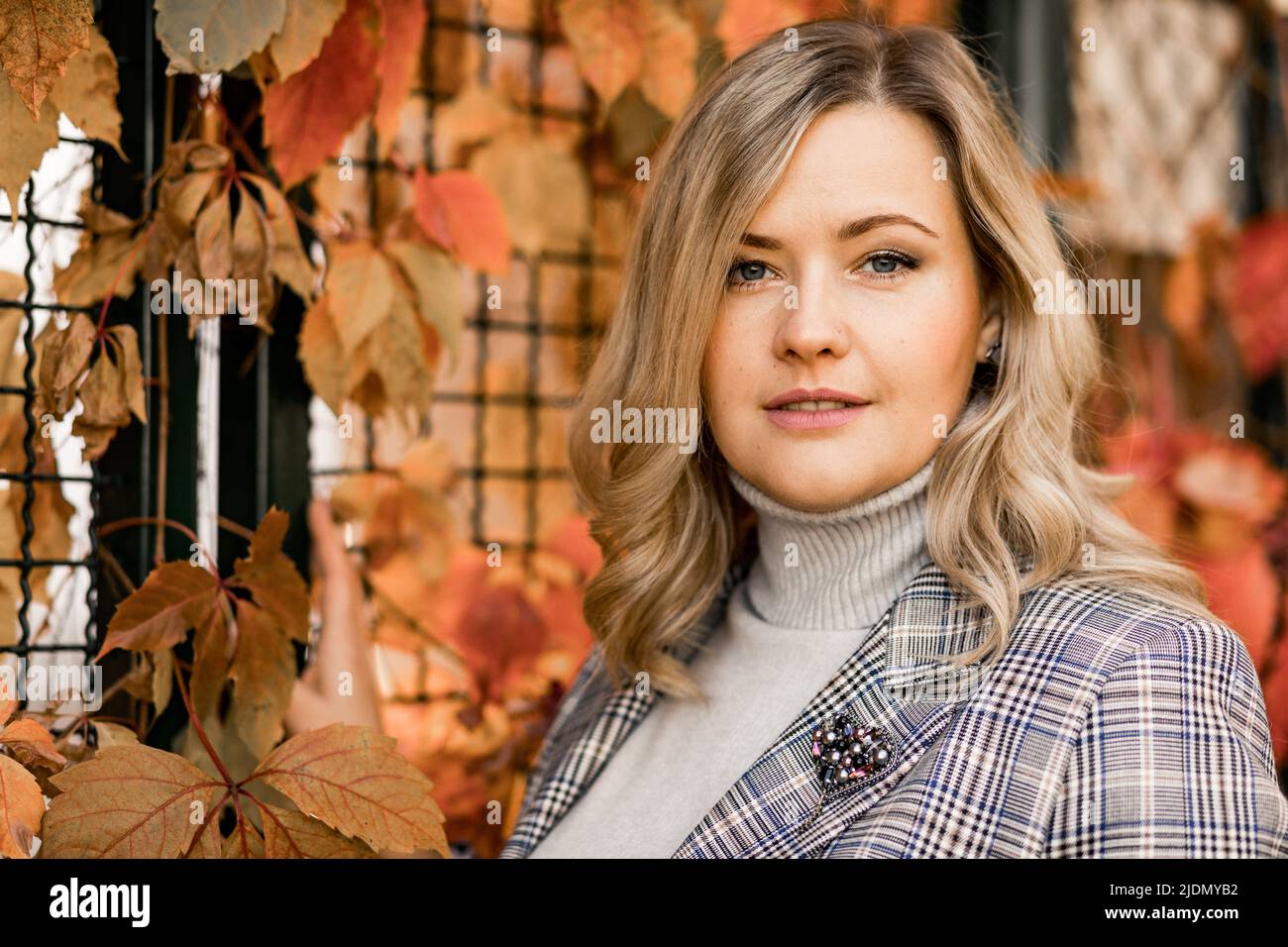 Well-groomed charming blonde 35-40 years old with long hair in light sweater and tweed jacket against wall of red autumn leaves in city garden on Stock Photo