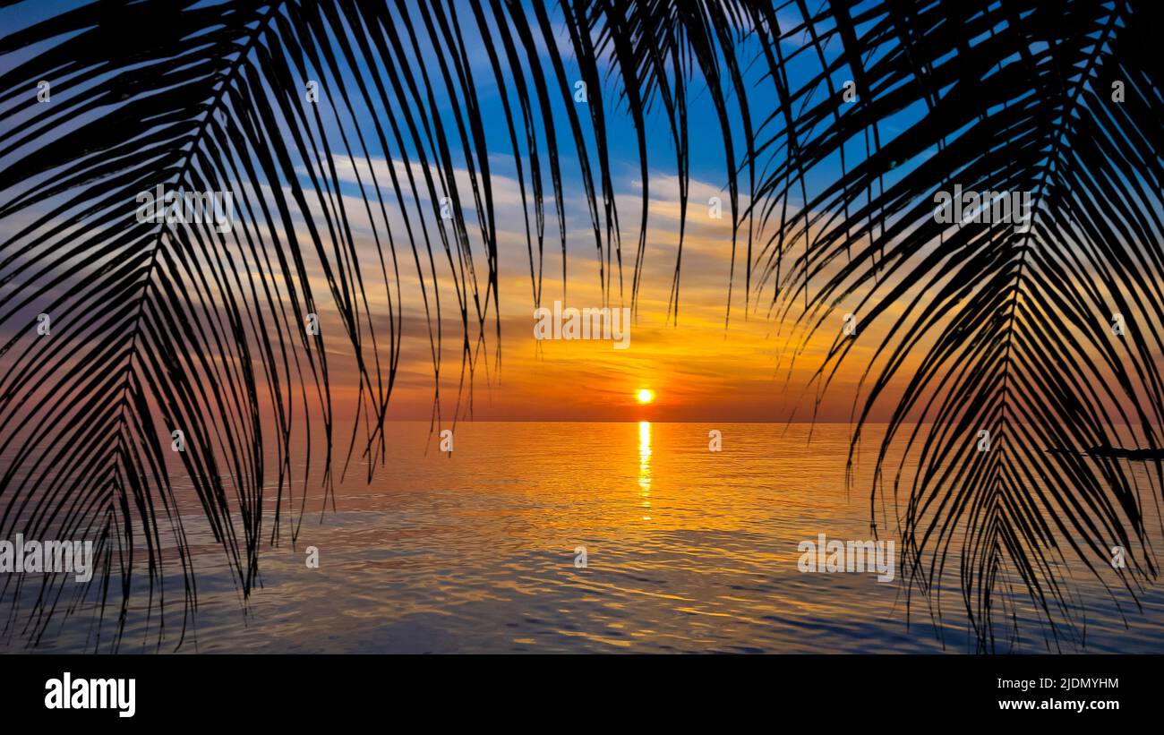Silhouette of palm trees Beautiful sunset on the tropical sea beach ...