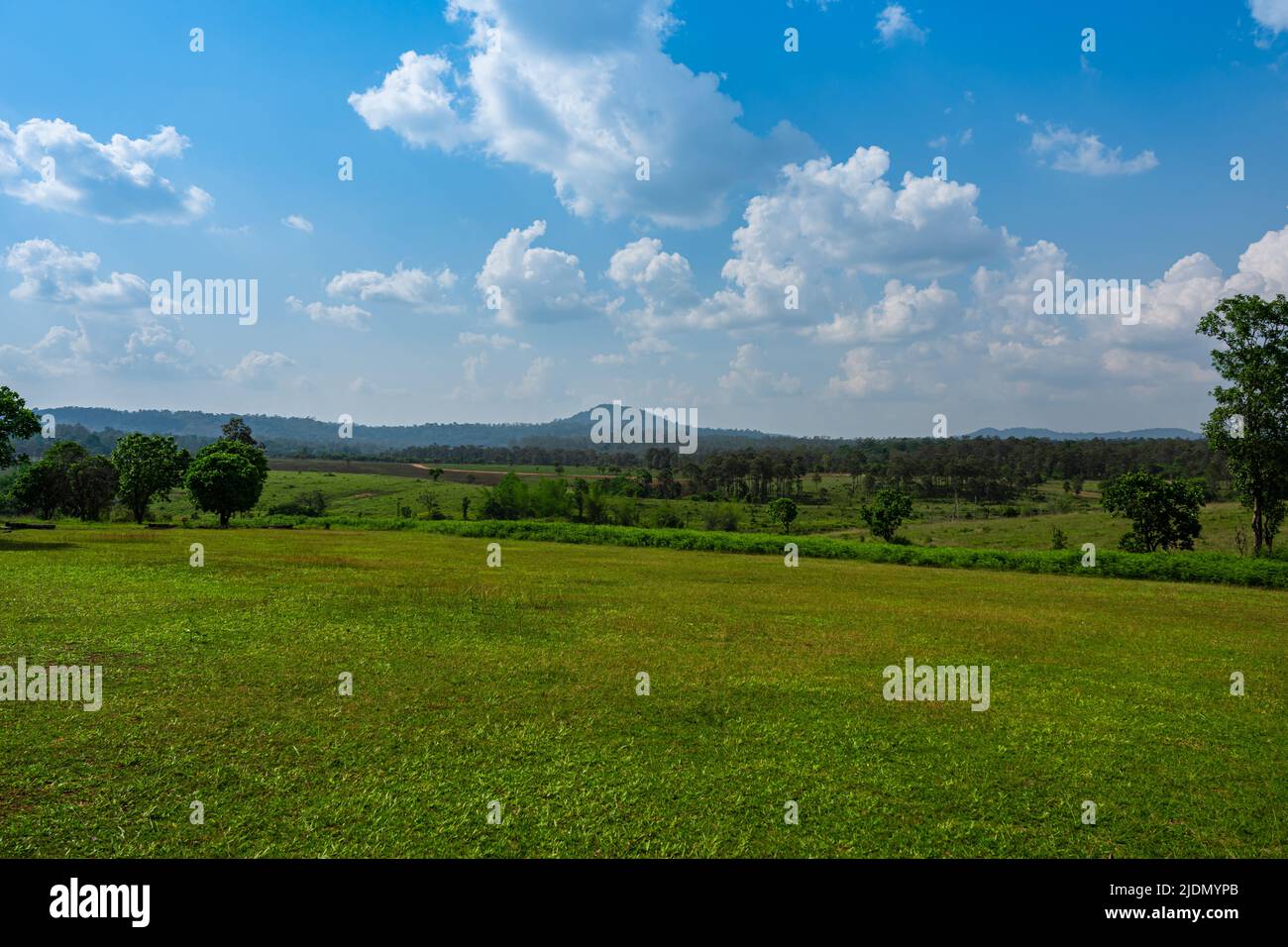 Green grass field and blue sky clouds background. Countryside landscape. Stock Photo