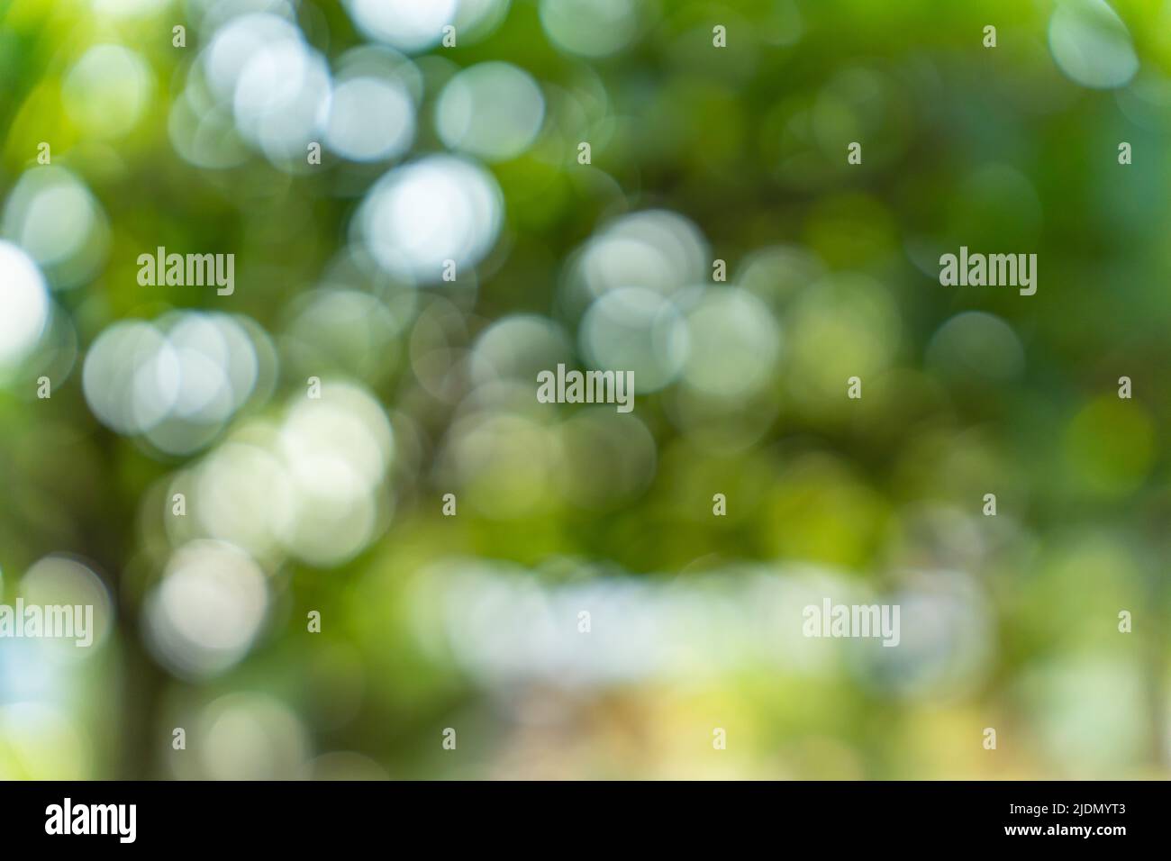 Bokeh blur abstract background hi-res stock photography and images - Alamy
