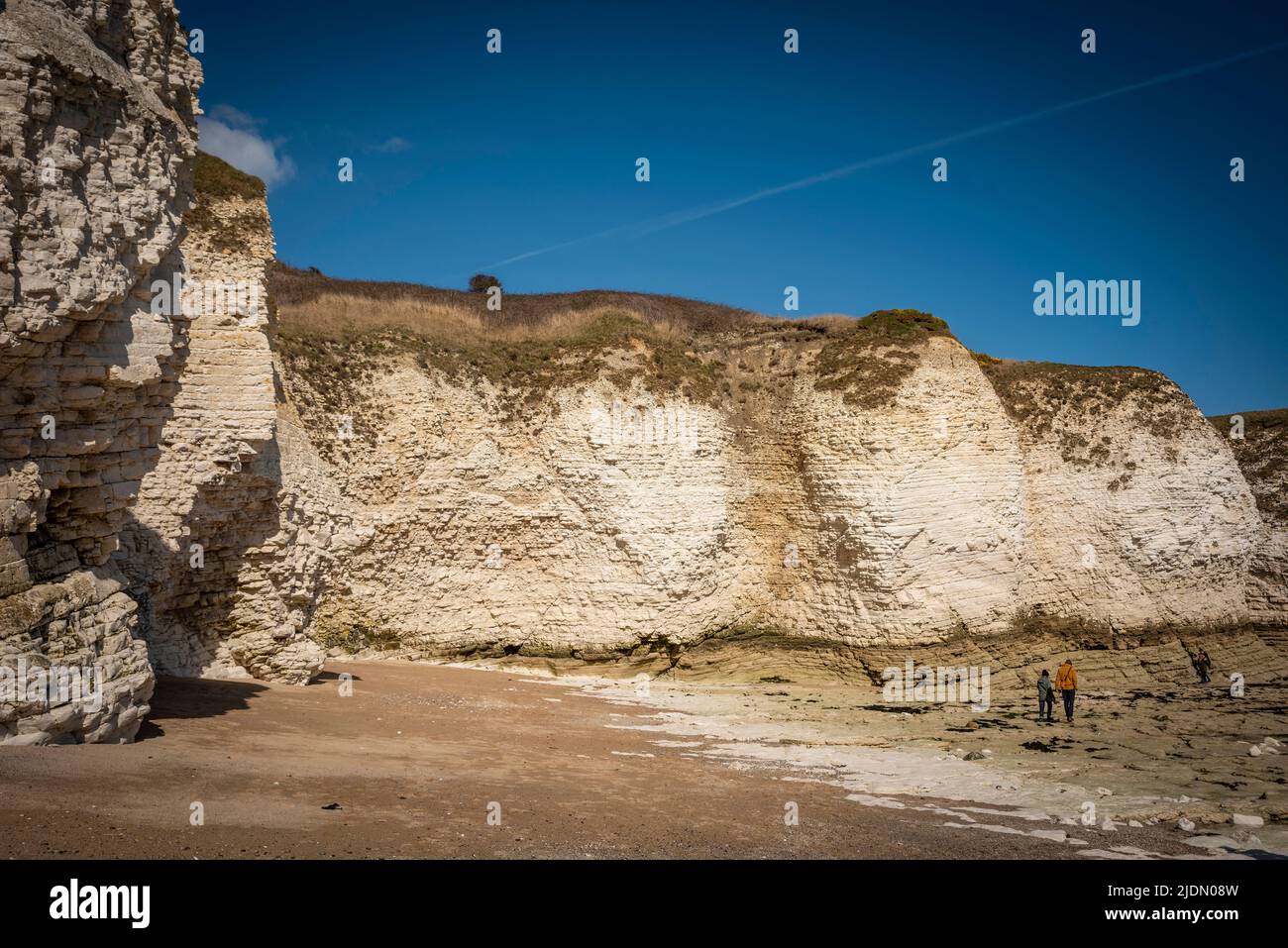 The chalk cliffs of Flamborough Head in East Yorkshire, UK Stock Photo
