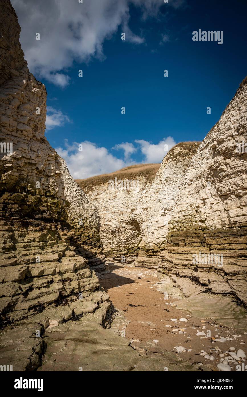 The chalk cliffs of Flamborough Head in East Yorkshire, UK Stock Photo