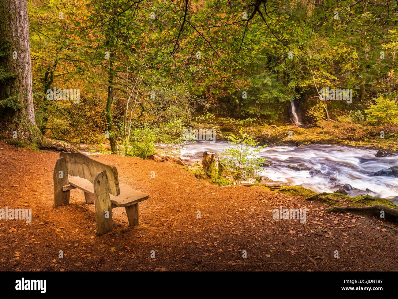 This is an area known as The Hermitage in the county of Perth & Kinross, Scotland, Great Britain Stock Photo