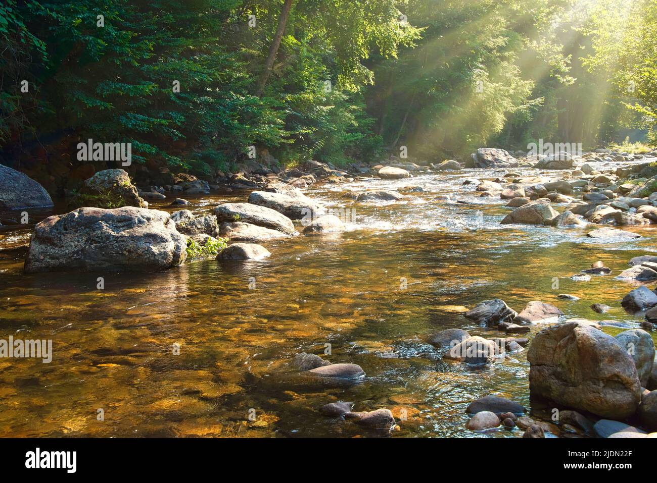 Sun beams breaking through the trees on the Pigeon River in North Carolina Stock Photo
